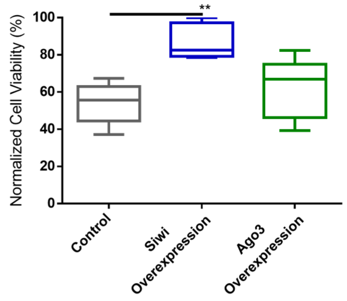 Viruses 14 01442 g004