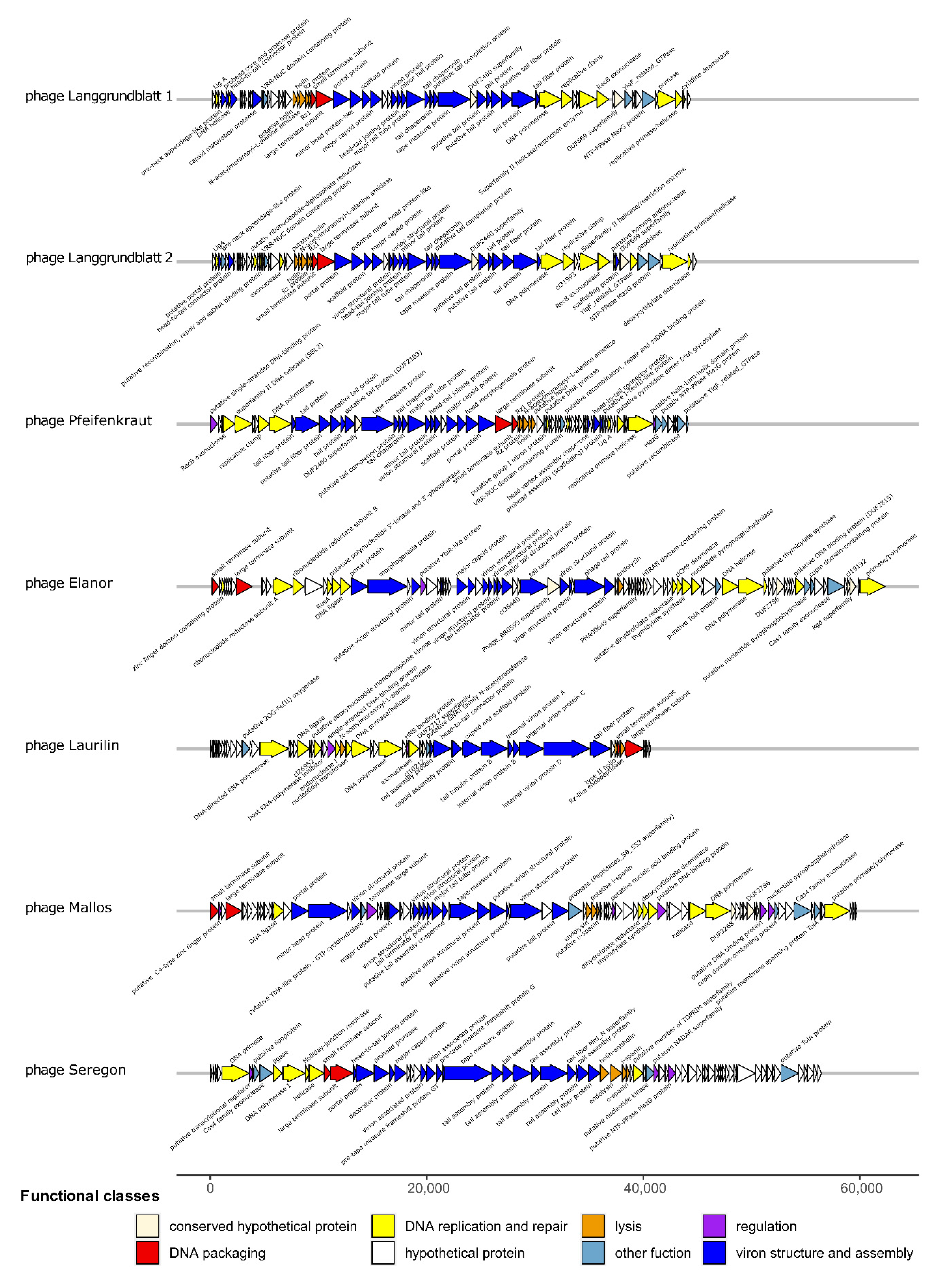 Viruses 14 01449 g003