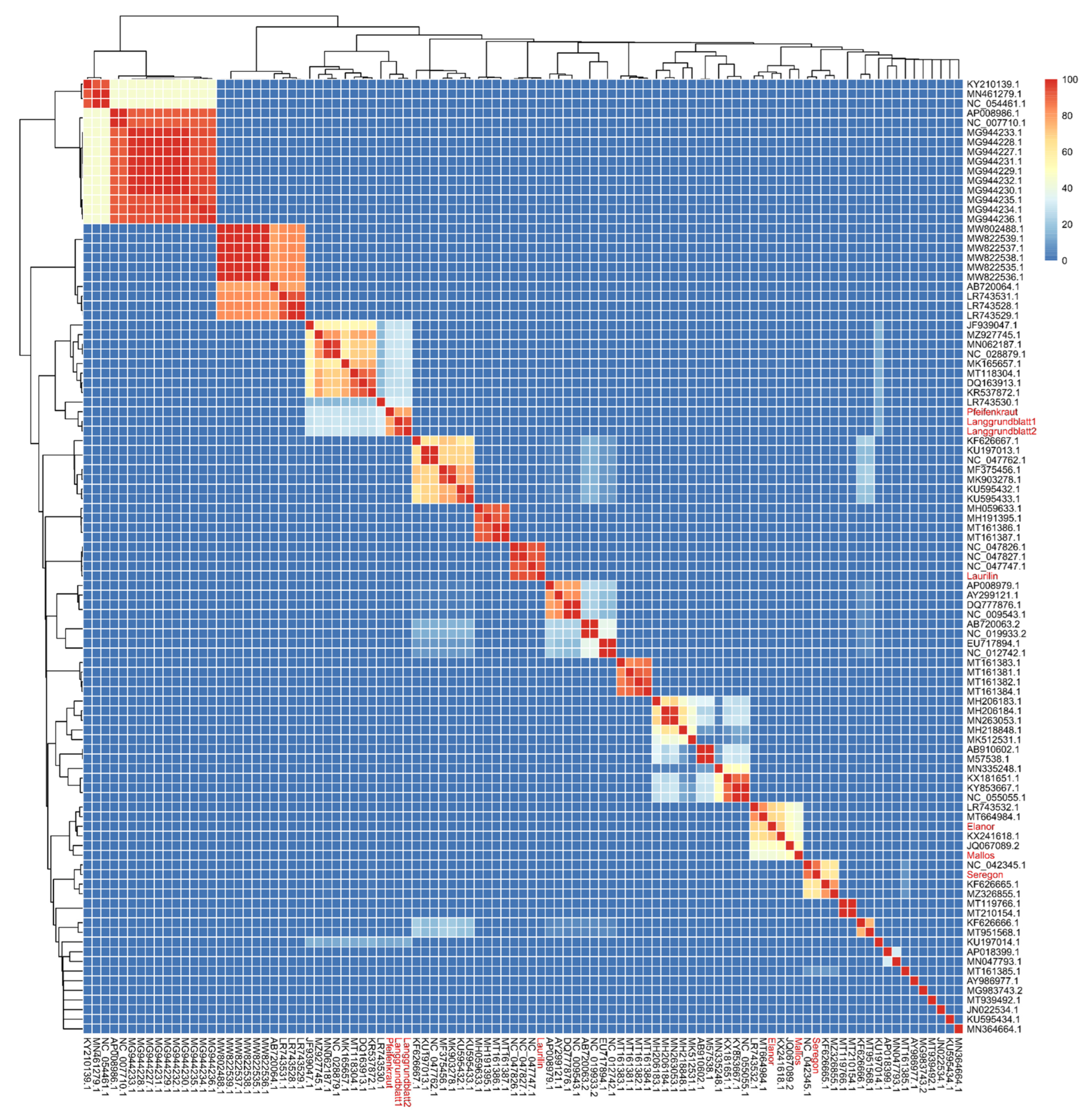 Viruses 14 01449 g005