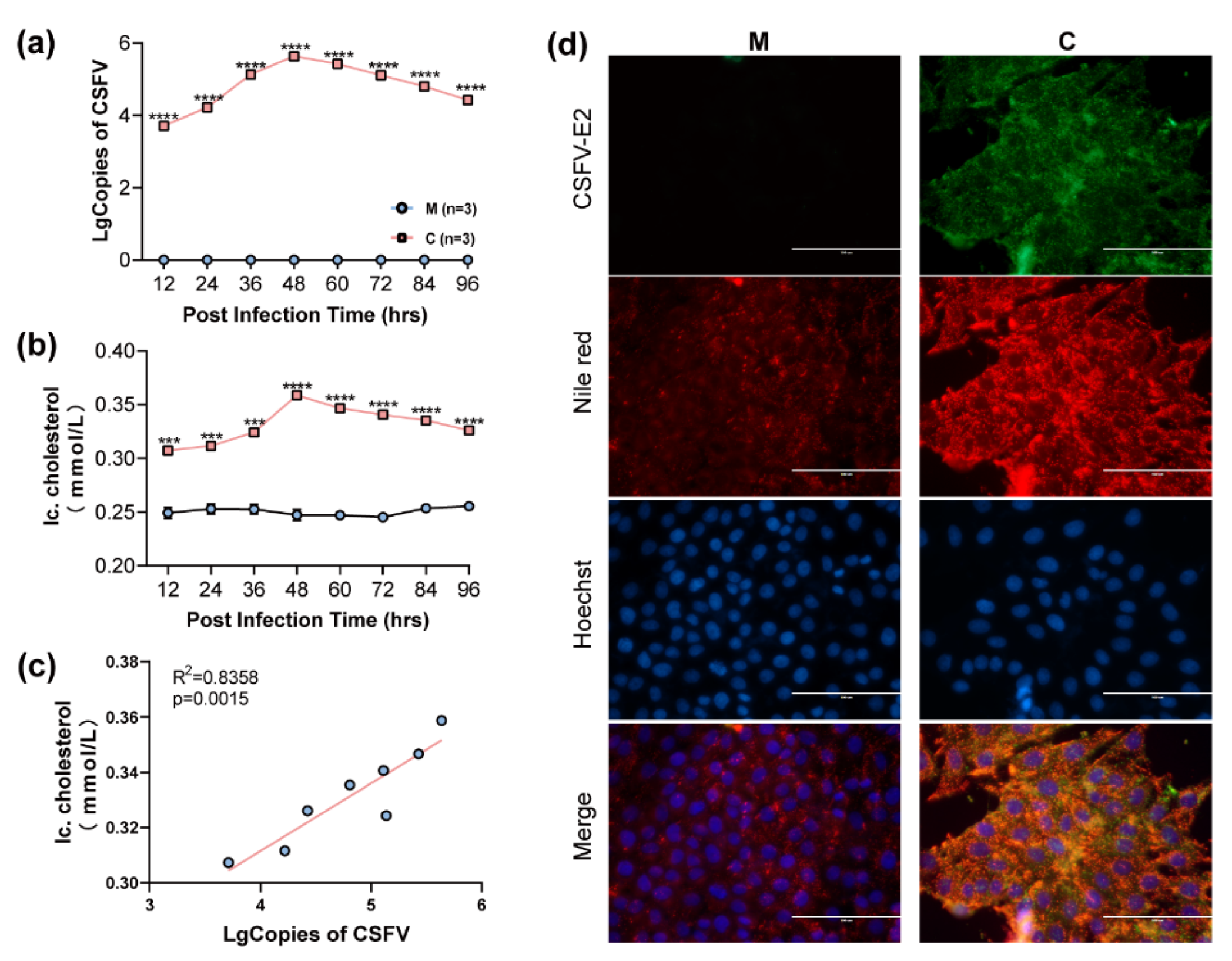 Viruses 14 01450 g001 550