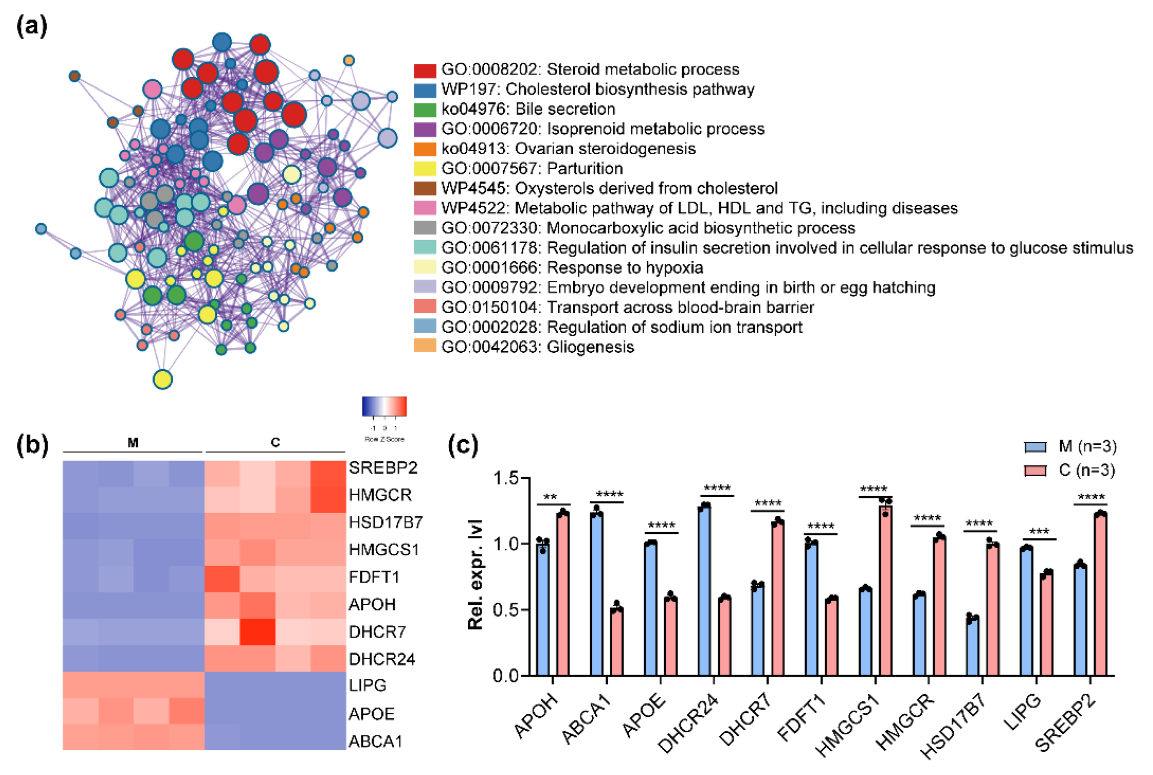 Viruses 14 01450 g002 550