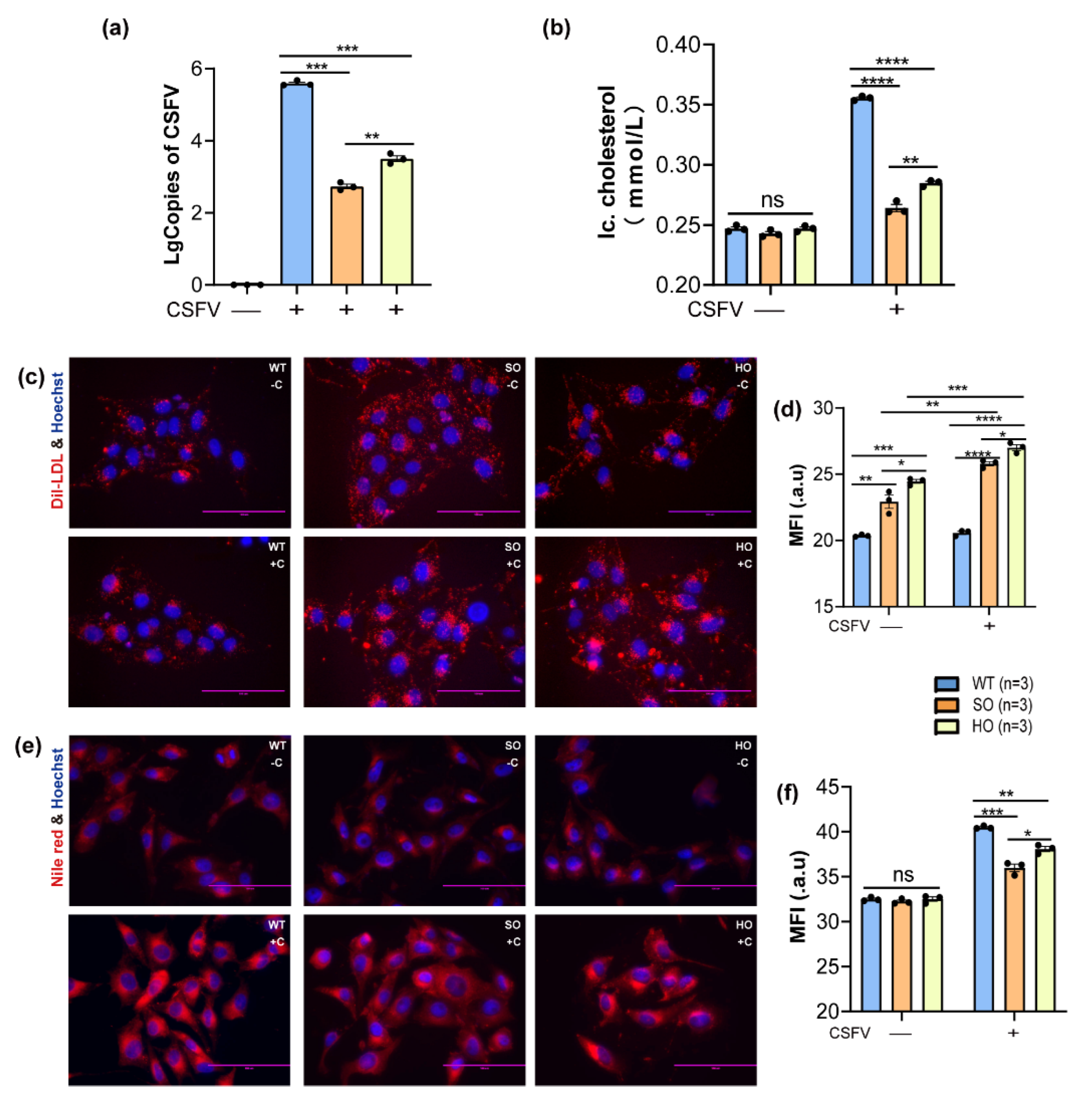 Viruses 14 01450 g004 550