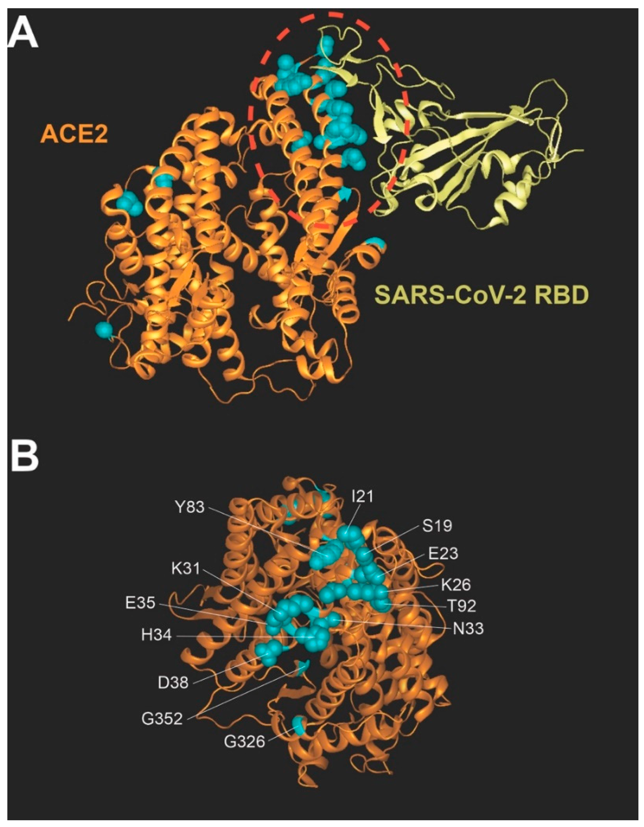 Viruses 14 01451 g001 550