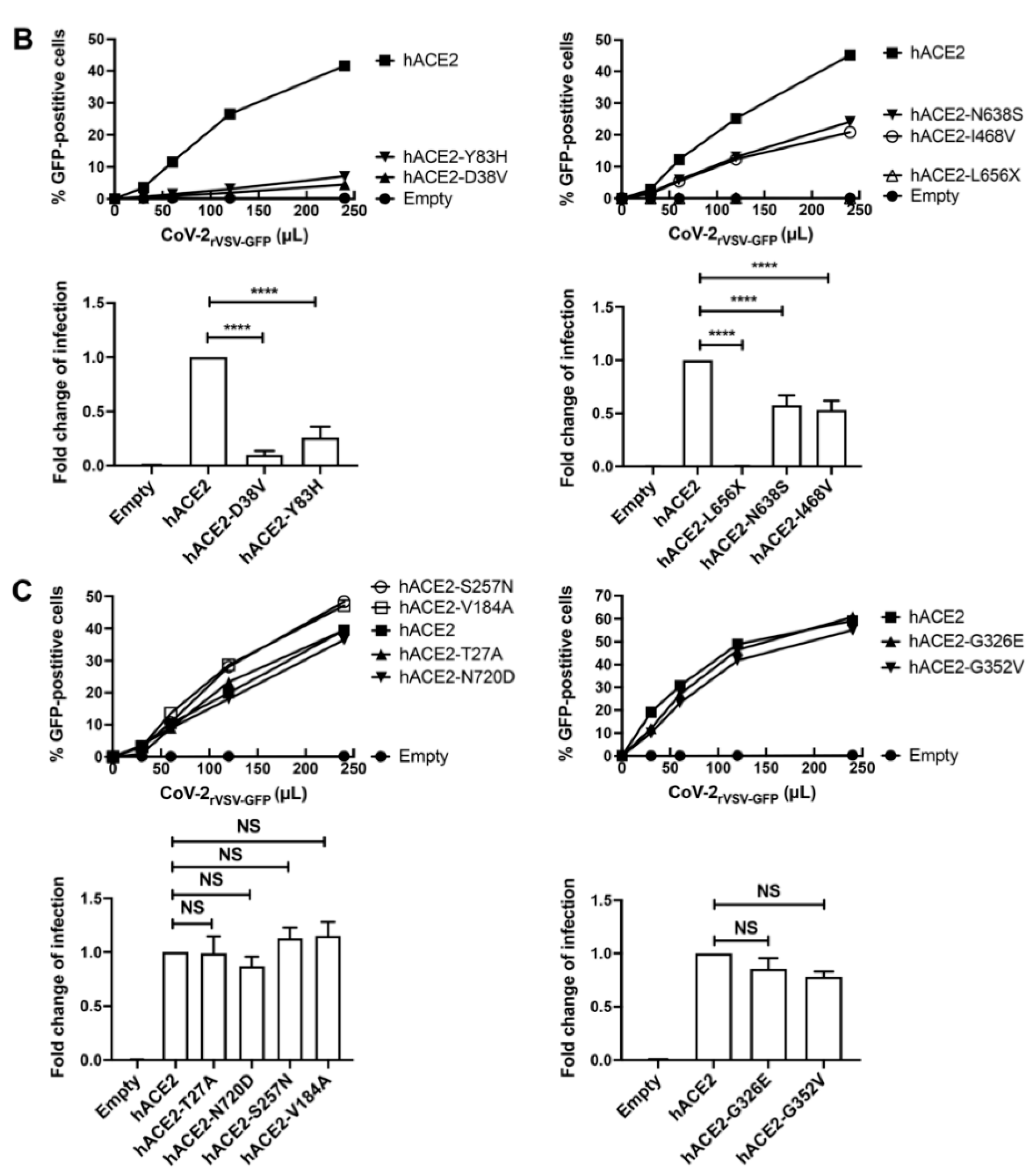 Viruses 14 01451 g002b 550