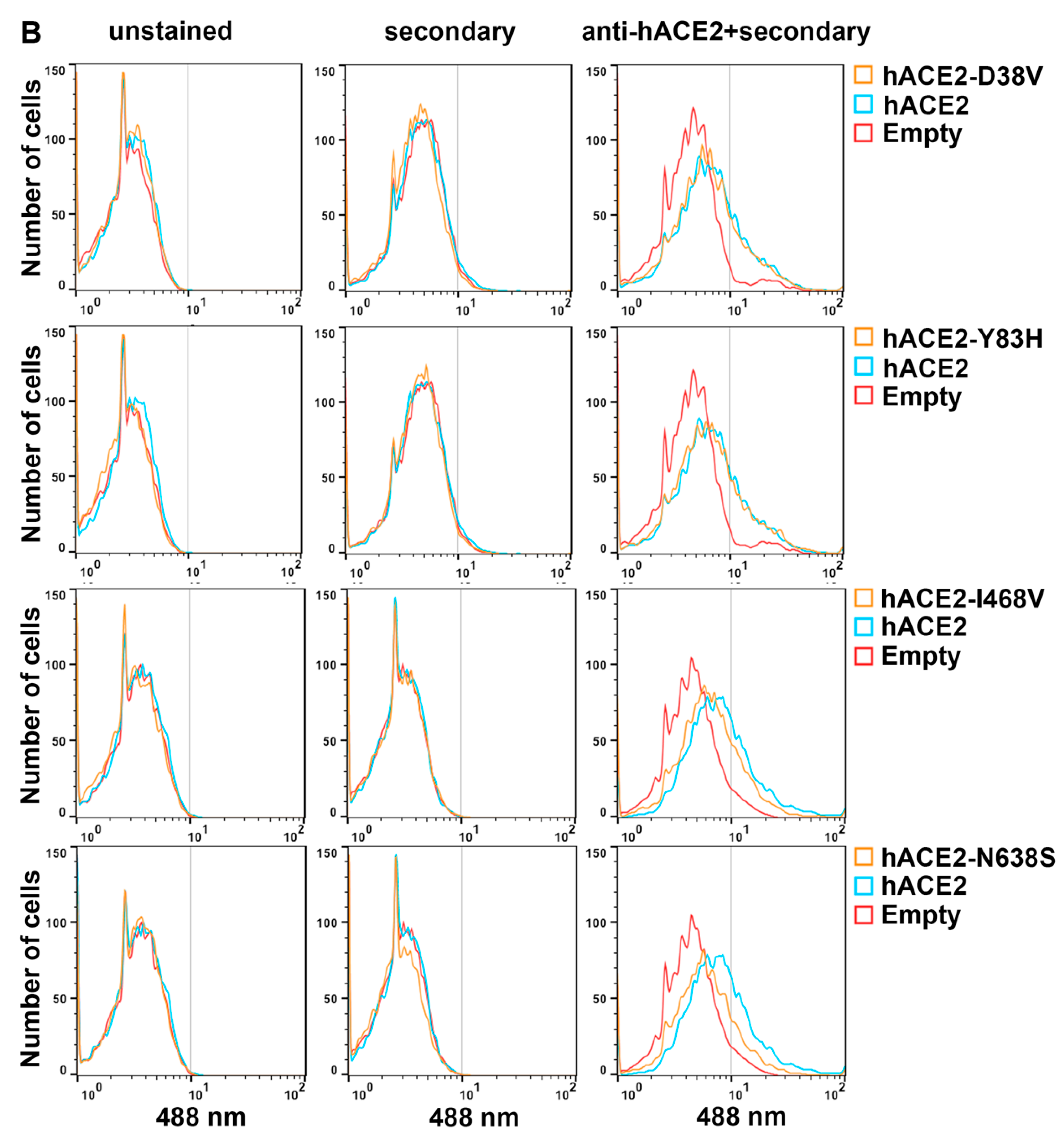 Viruses 14 01451 g003b 550