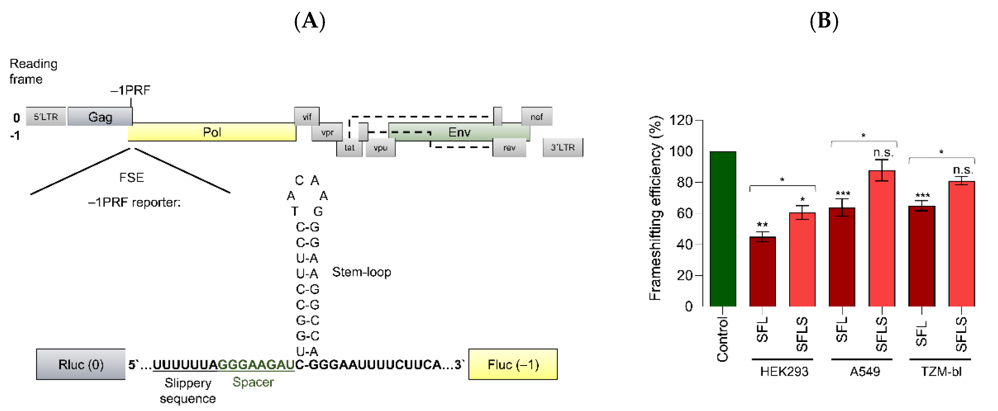 Viruses 14 01454 g001