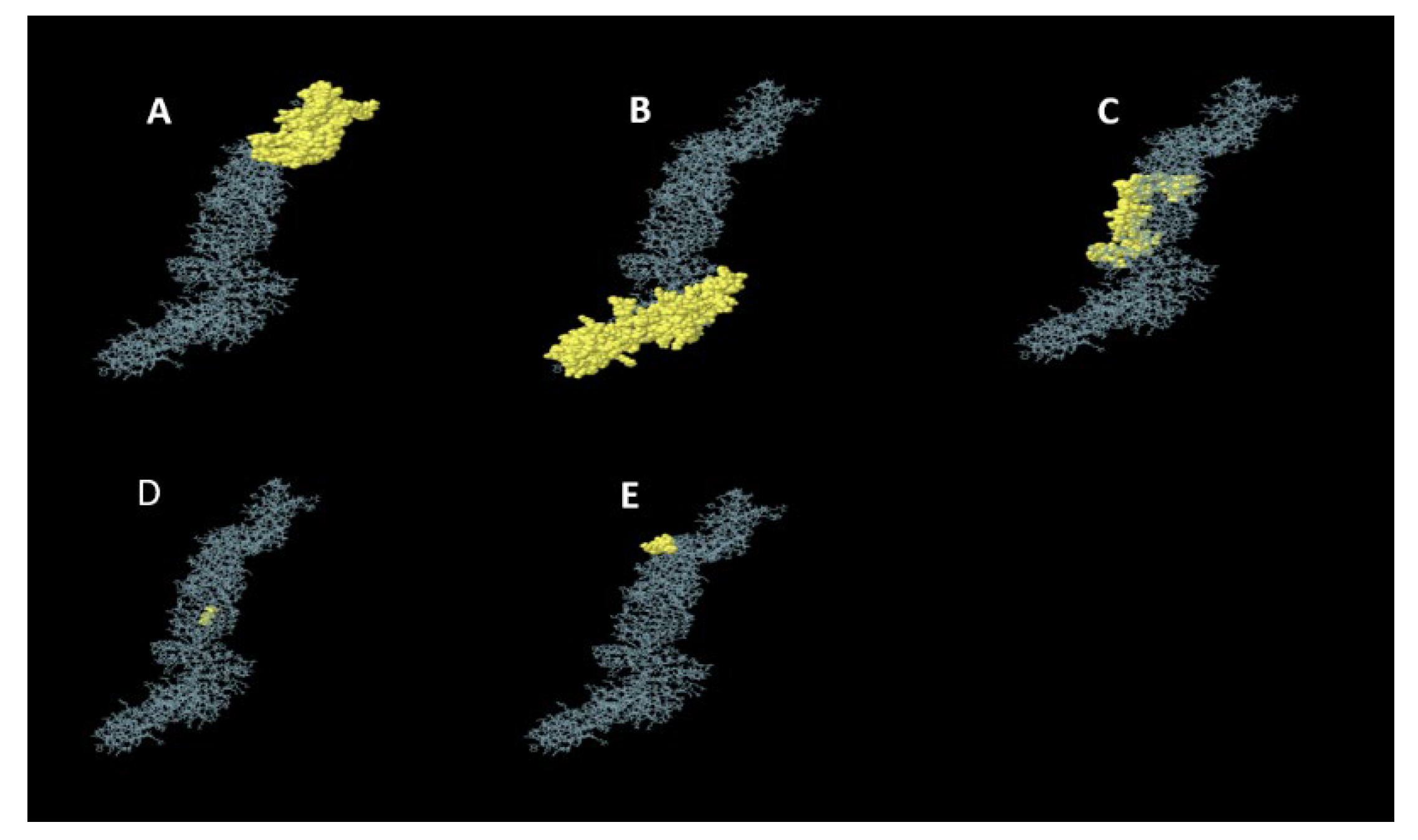 Viruses 14 01456 g003