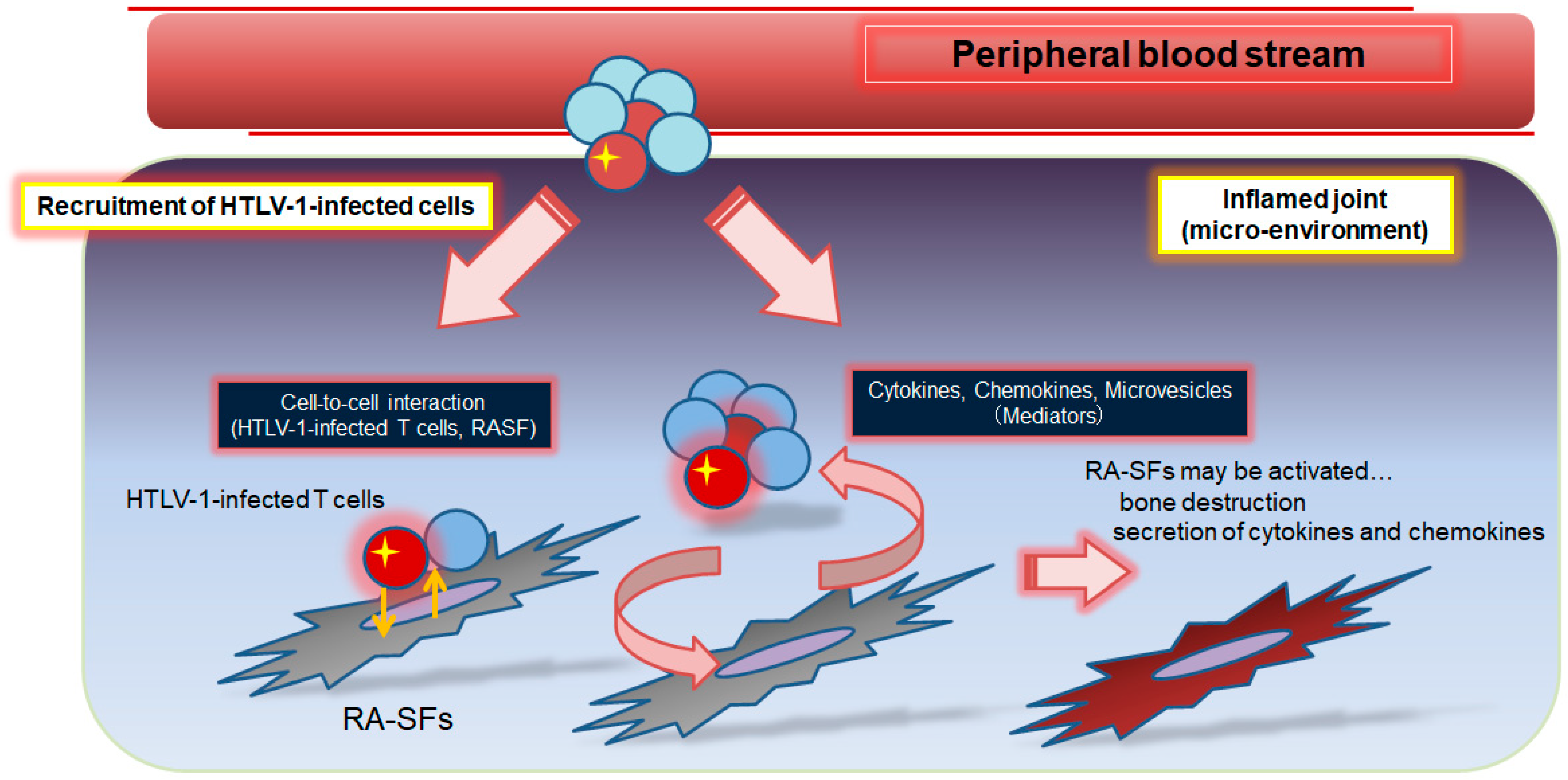 Viruses Free FullText Effect of HTLV1 Infection on the Clinical