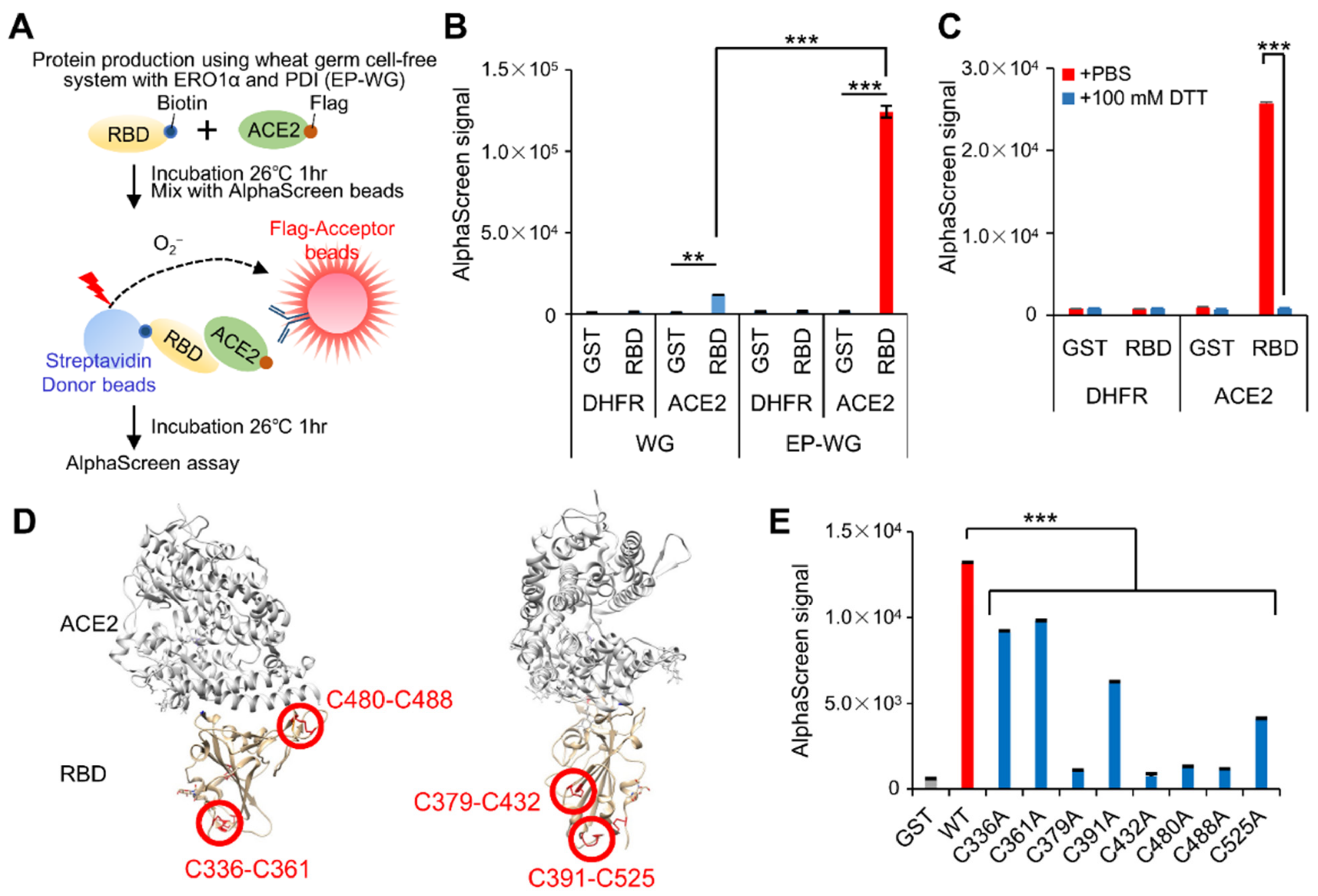 Viruses 14 01461 g003 Viruses 14 01461 g003