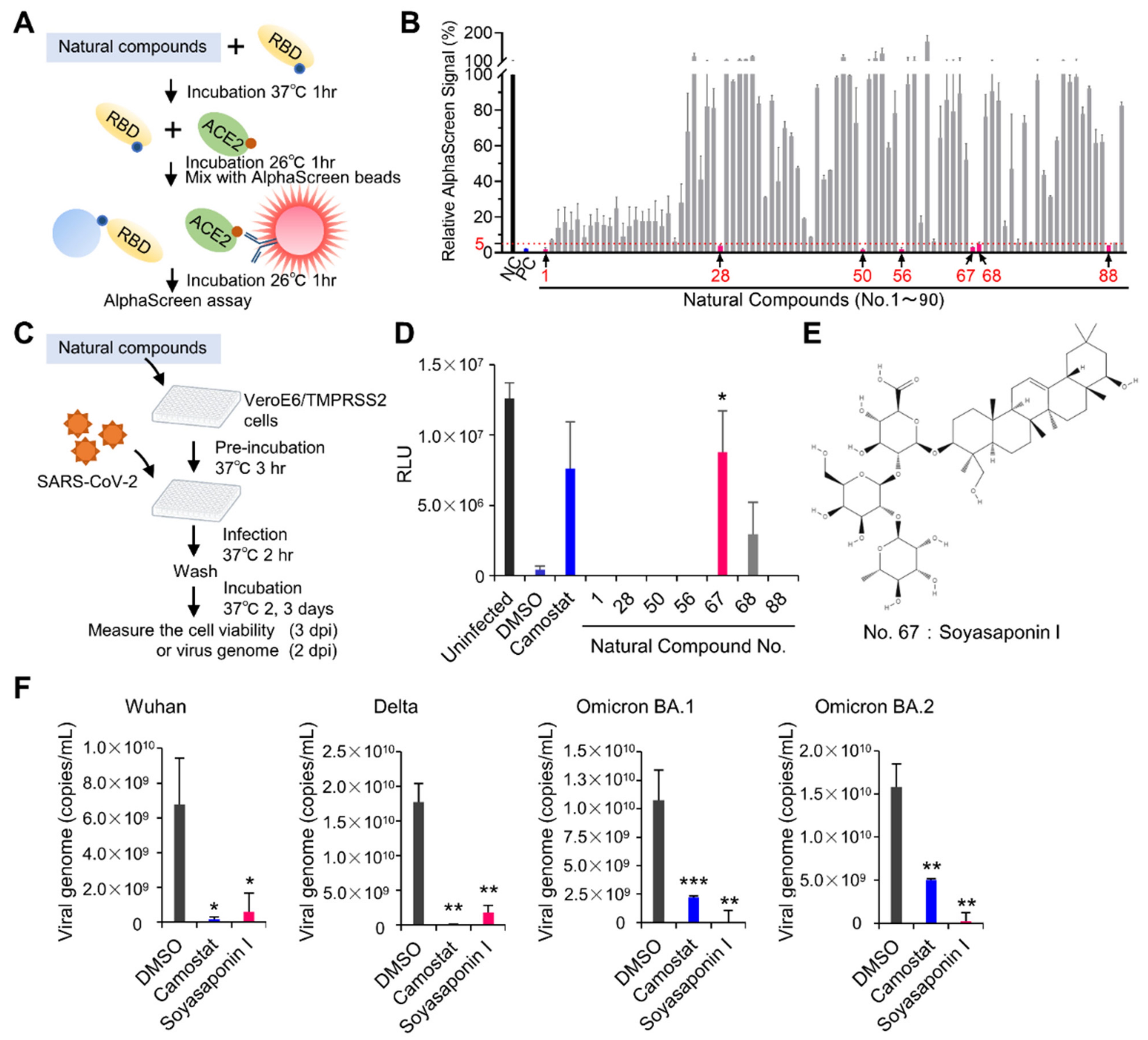 Viruses 14 01461 g004 Viruses 14 01461 g004