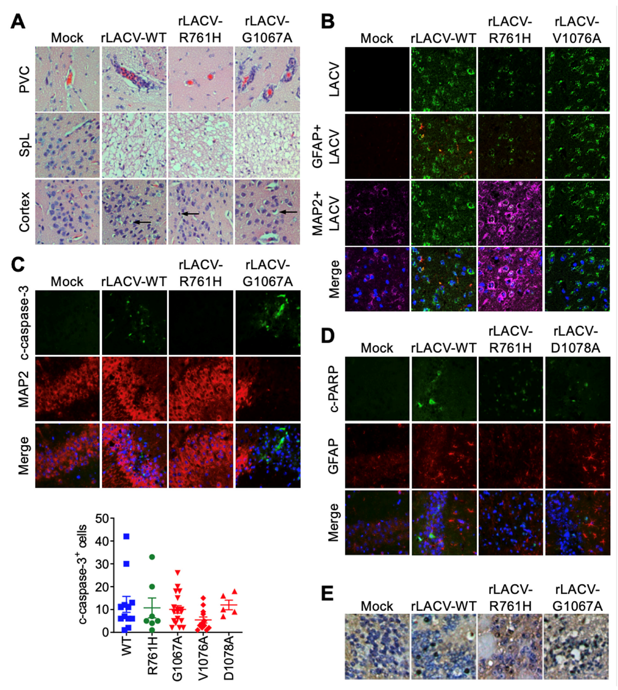 Viruses 14 01464 g003 550