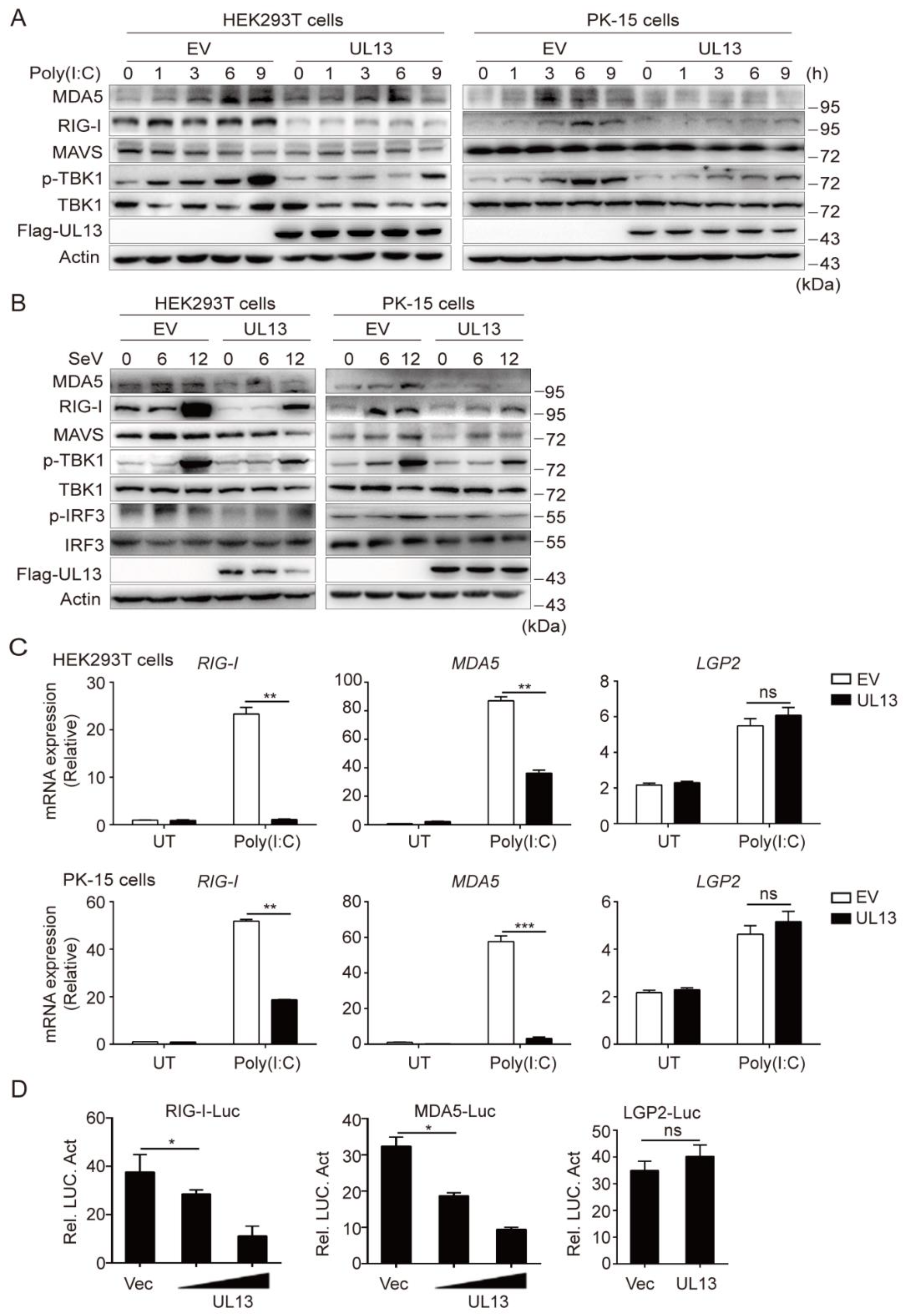 Viruses 14 01465 g002 550