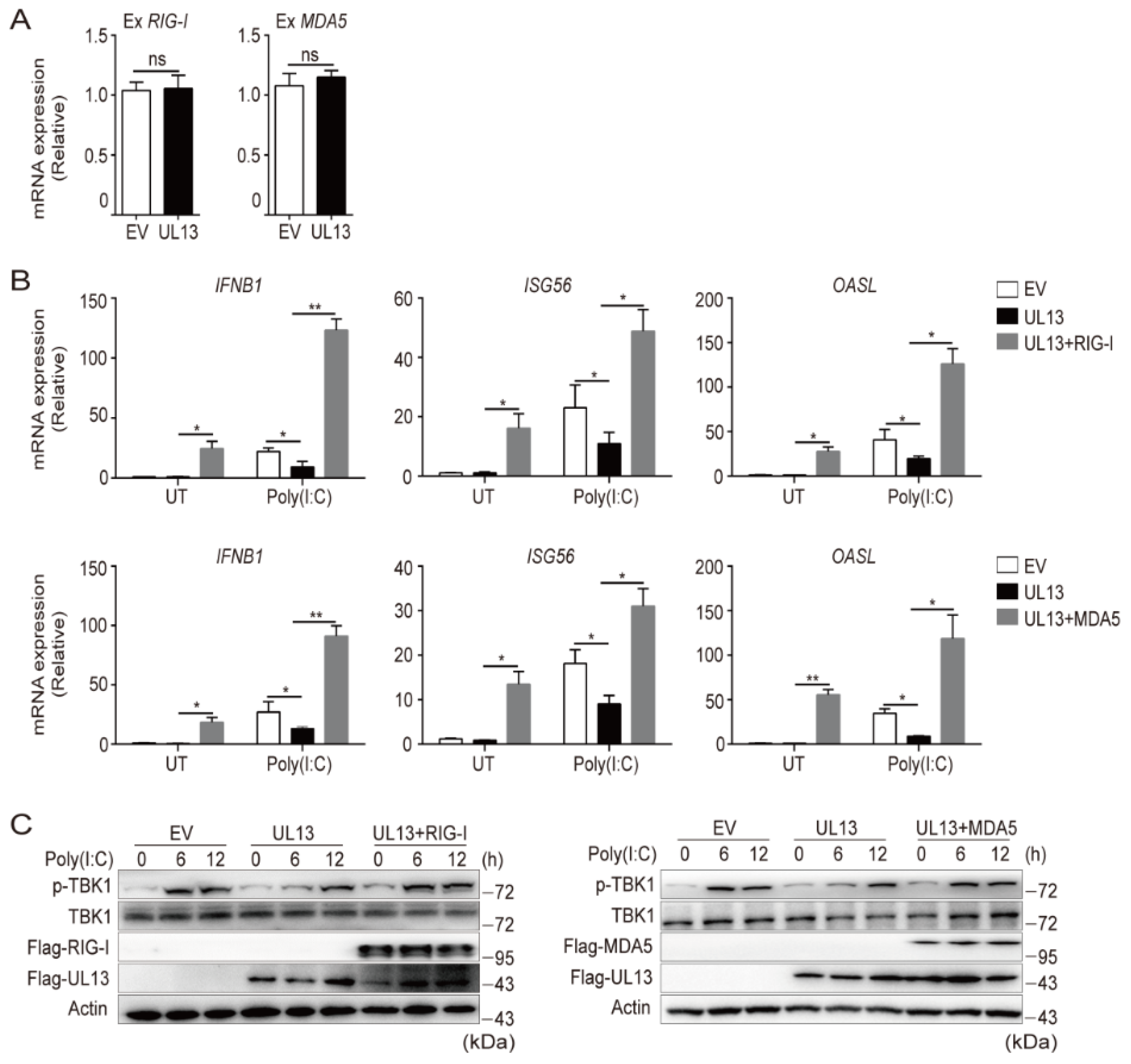 Viruses 14 01465 g003 550