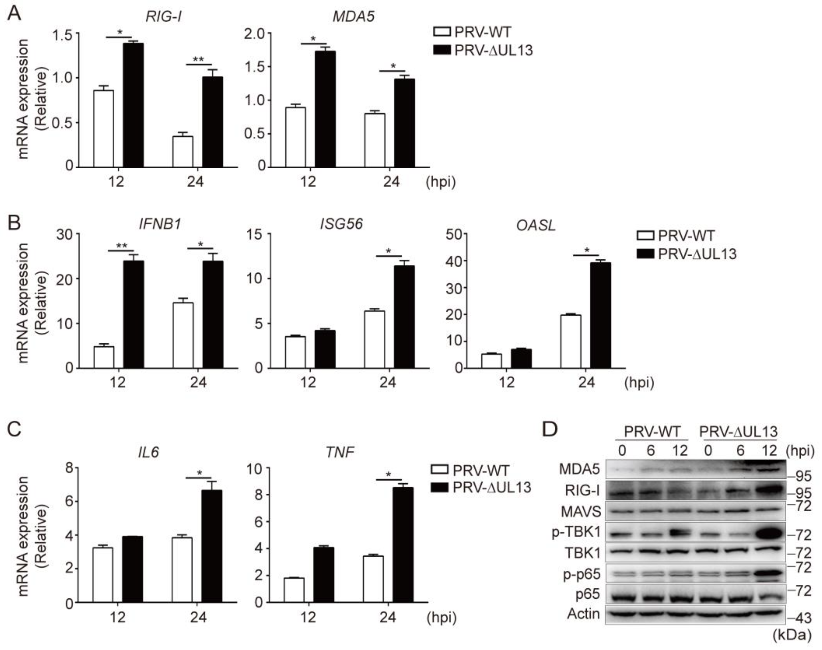 Viruses 14 01465 g005 550