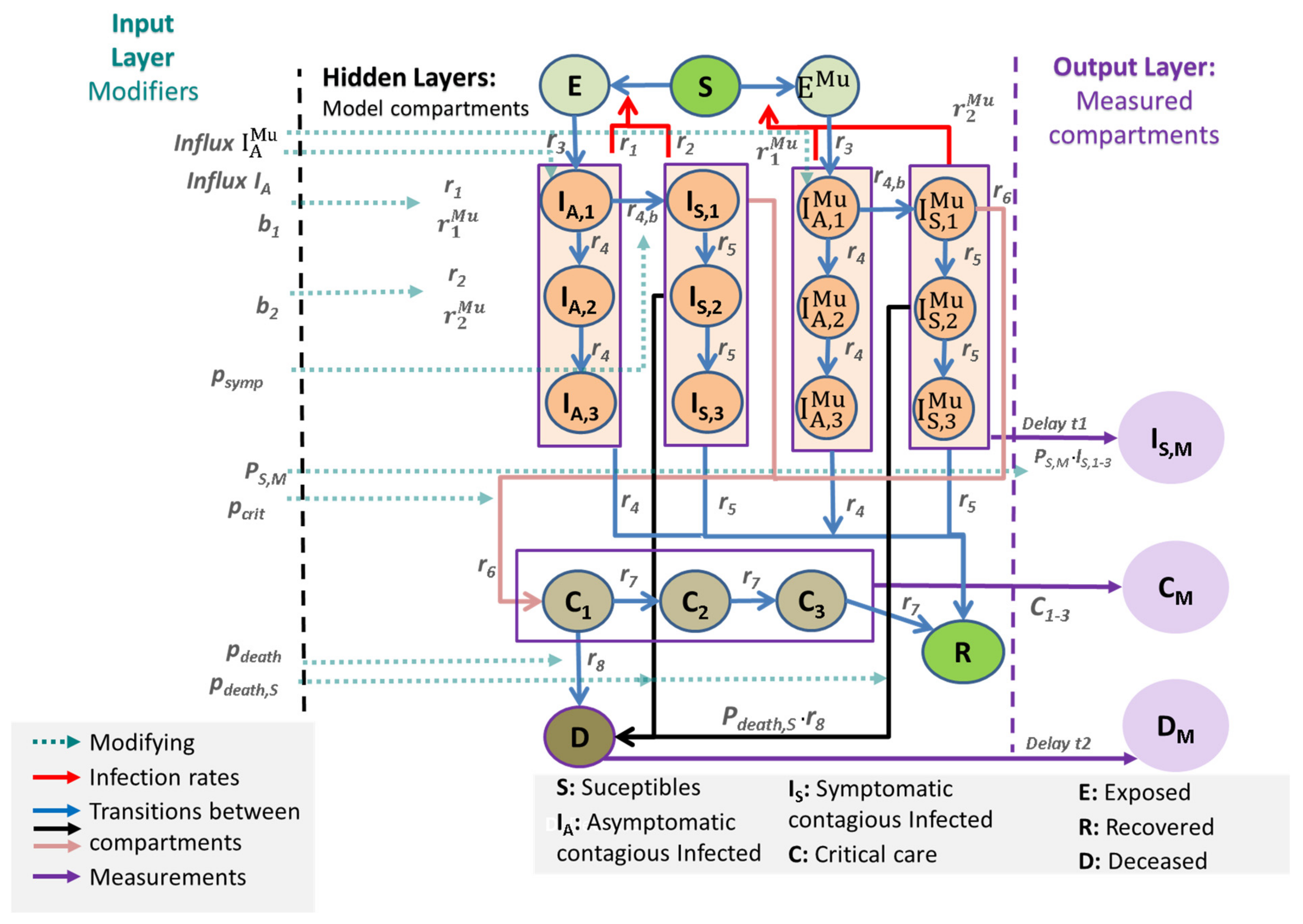 Viruses 14 01468 g001 550