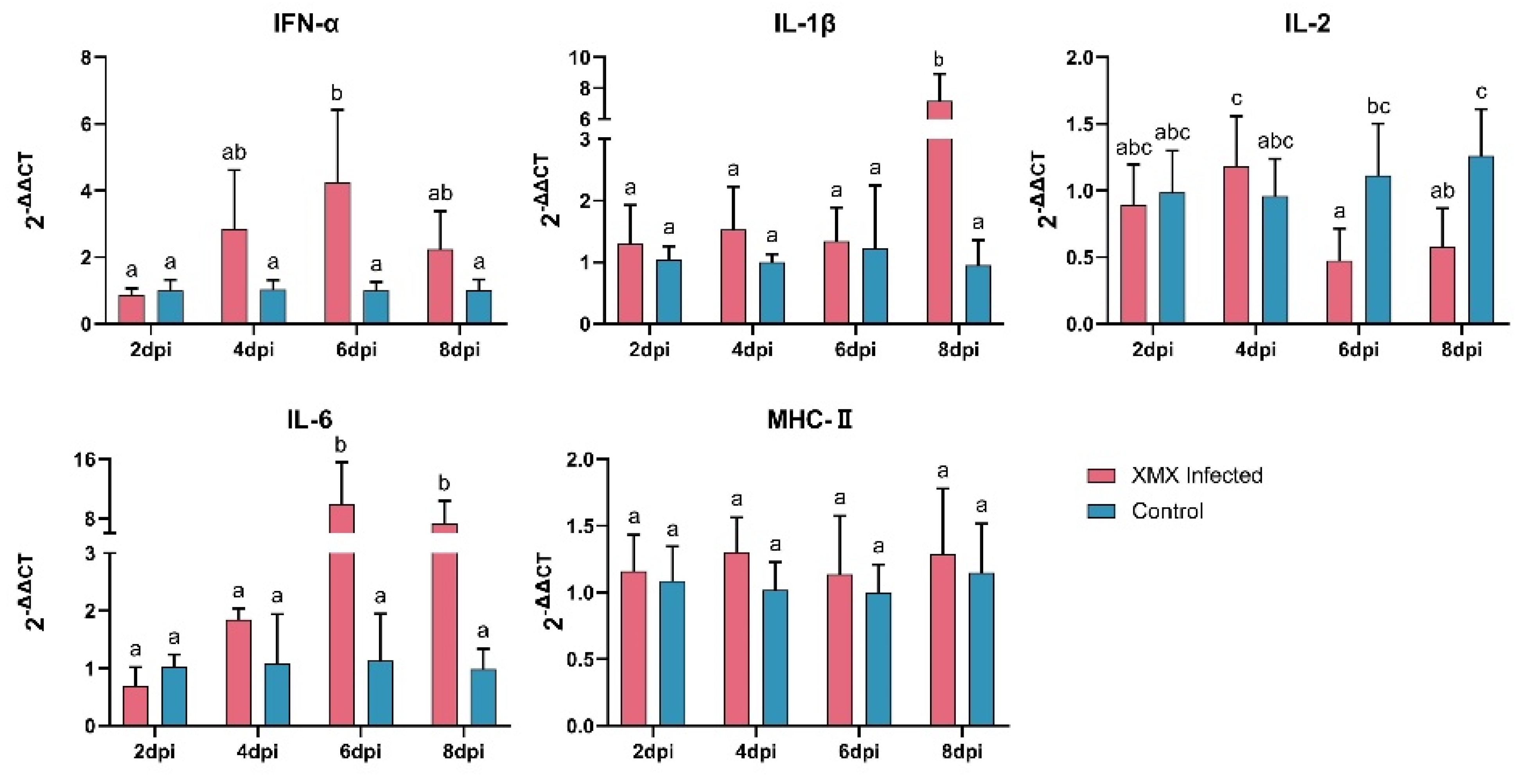 Viruses 14 01471 g002