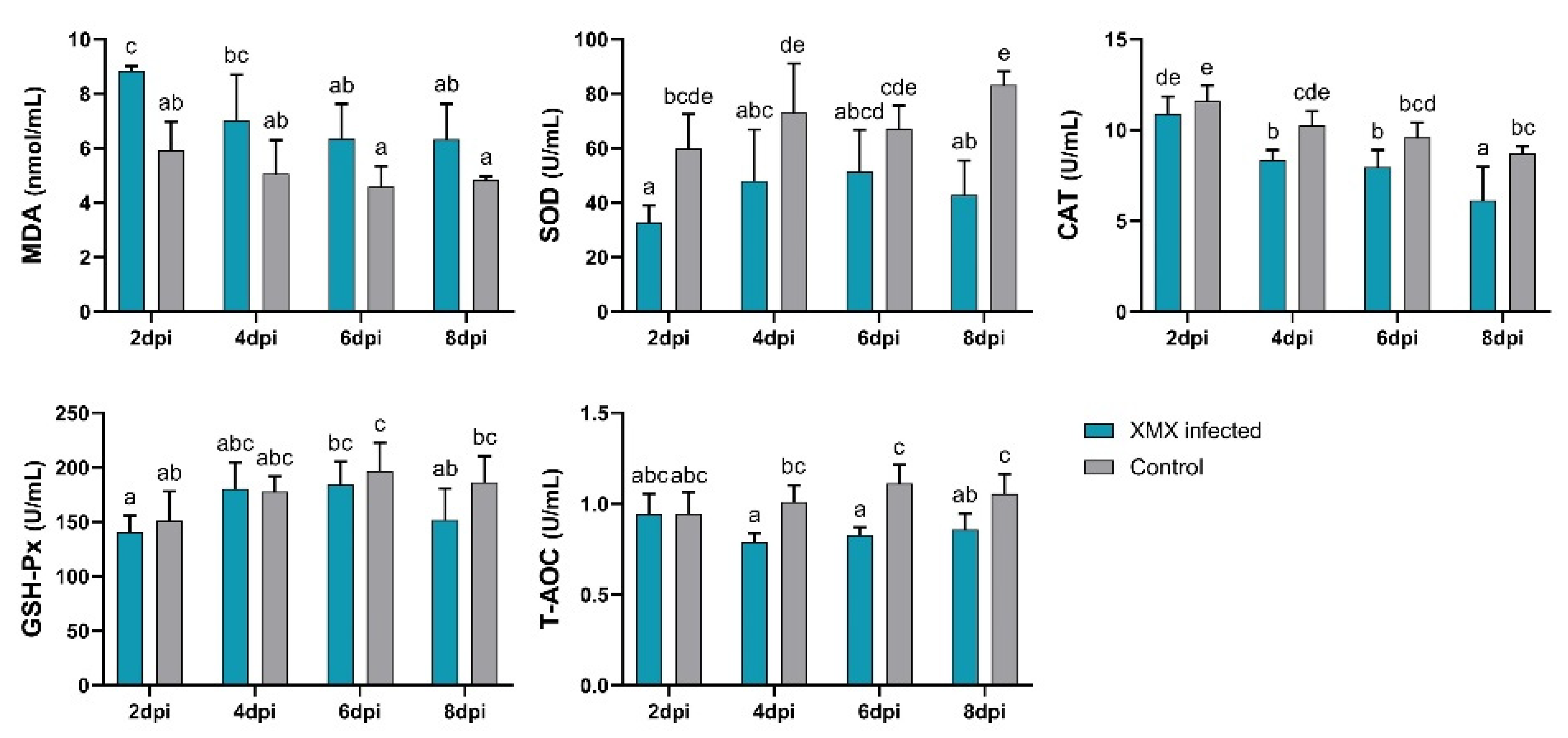 Viruses 14 01471 g004