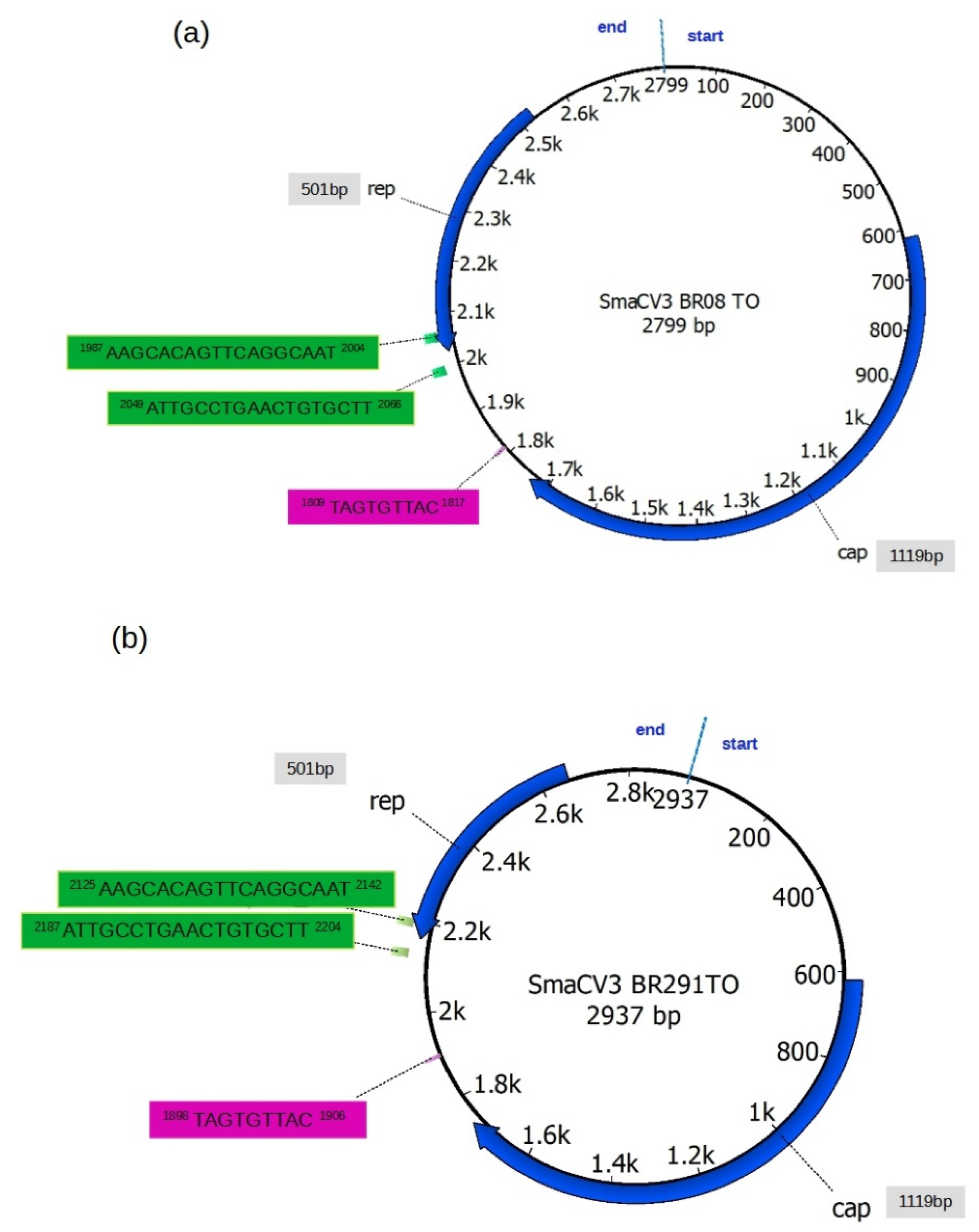Viruses 14 01472 g001