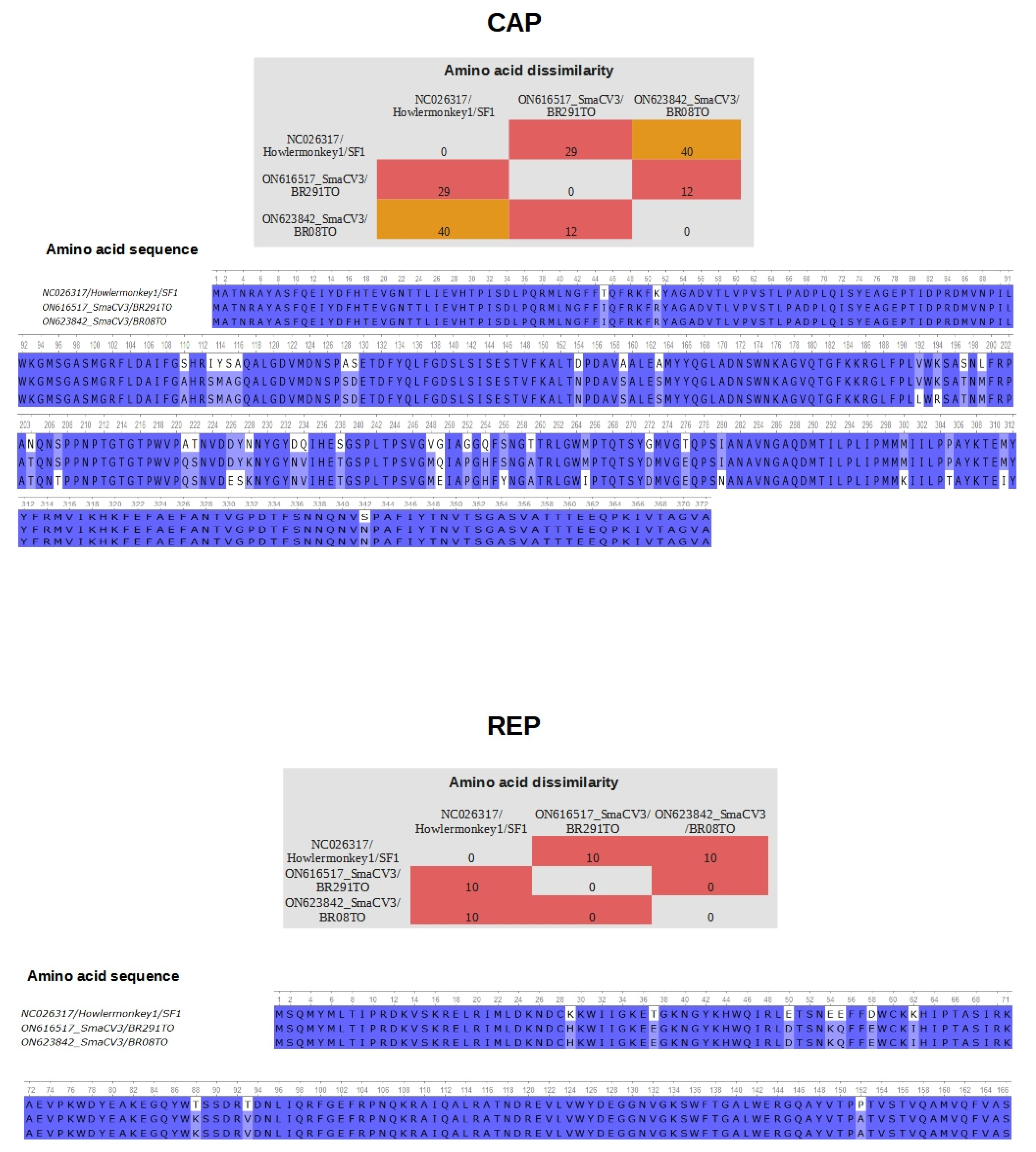 Viruses 14 01472 g002