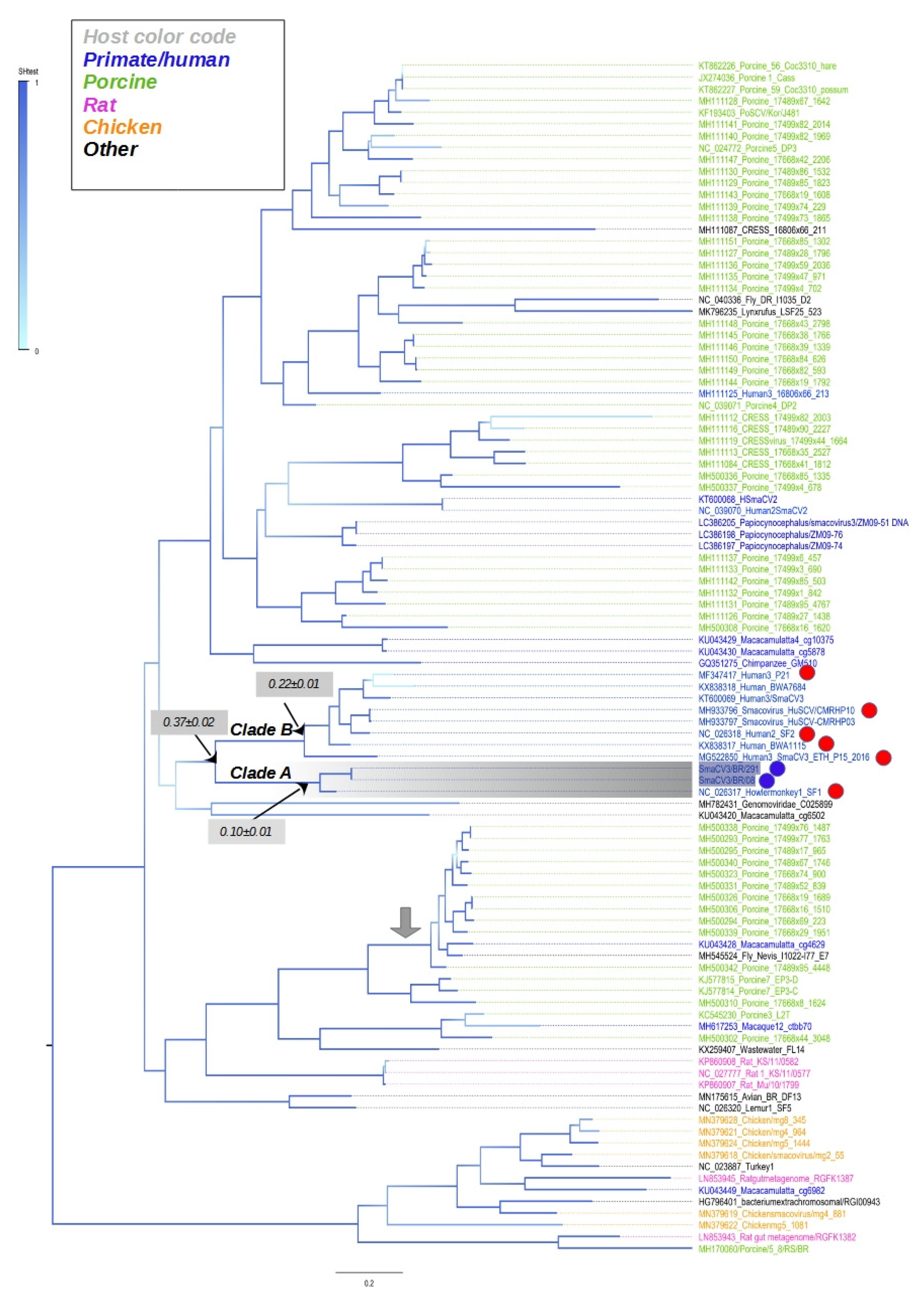 Viruses 14 01472 g003
