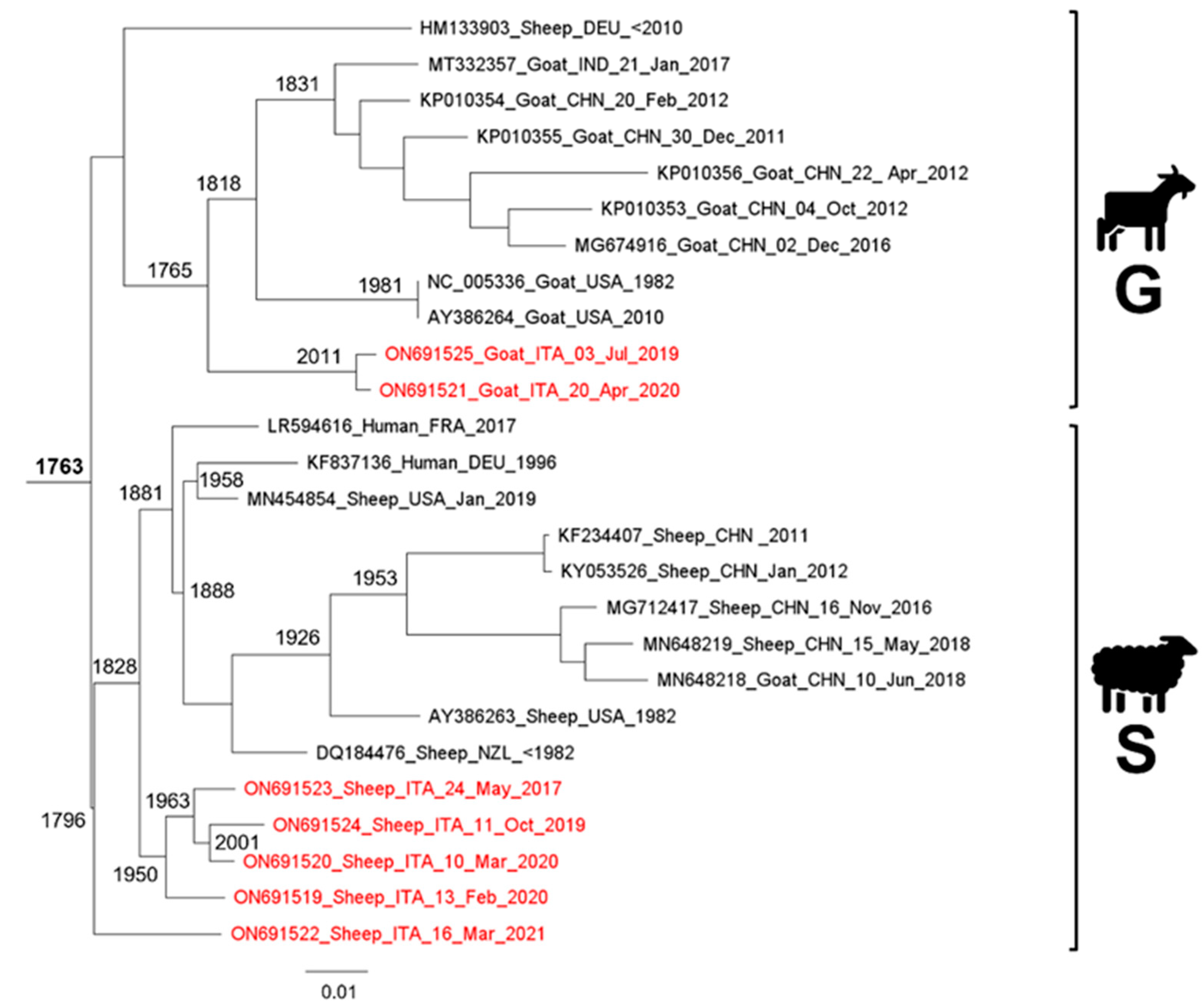Viruses 14 01473 g001 550