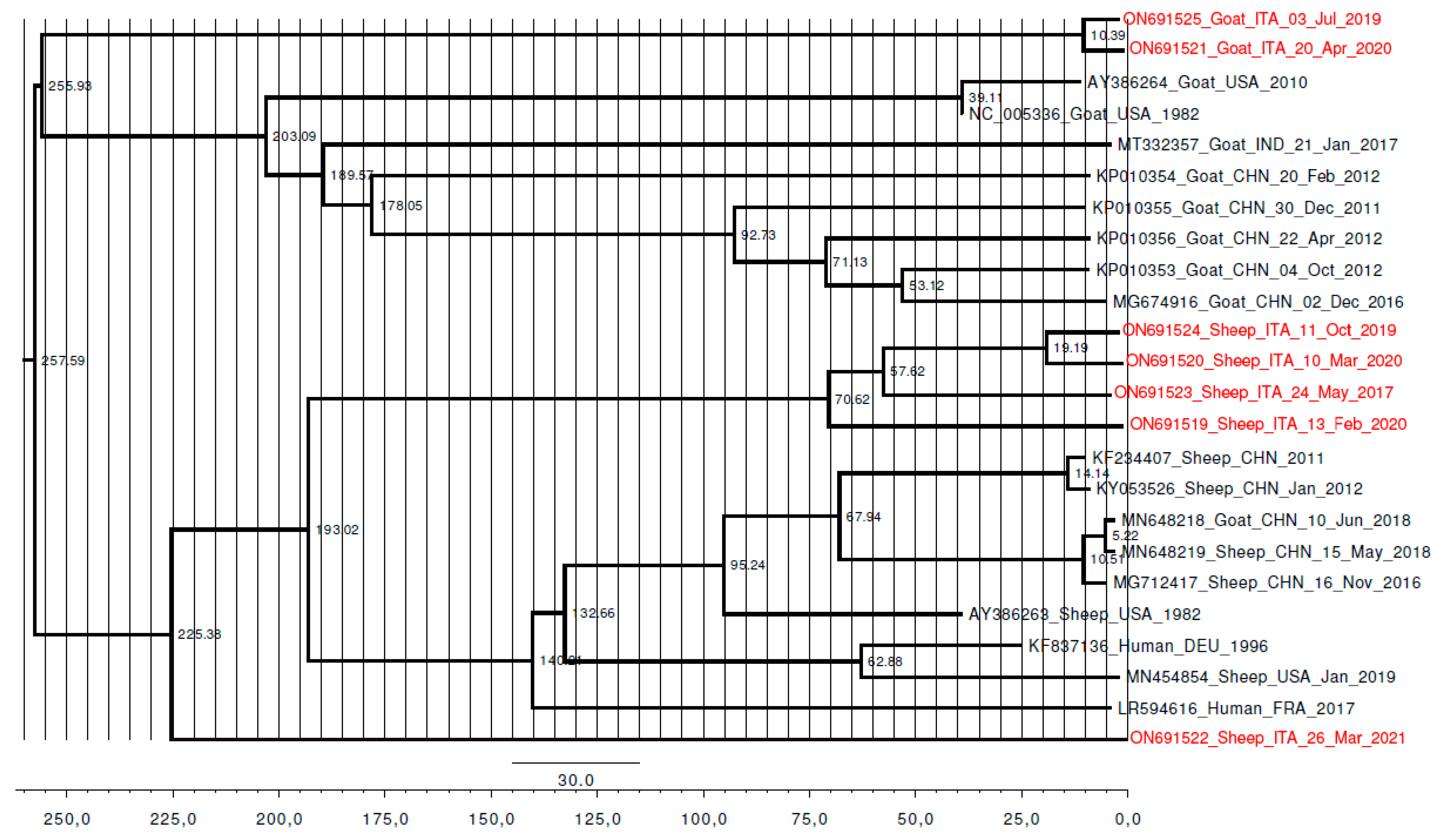 Viruses 14 01473 g0a1 550