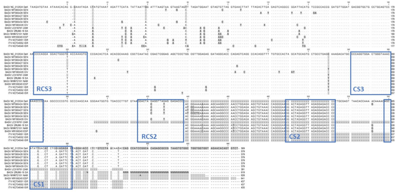 Viruses 14 01476 g002 550