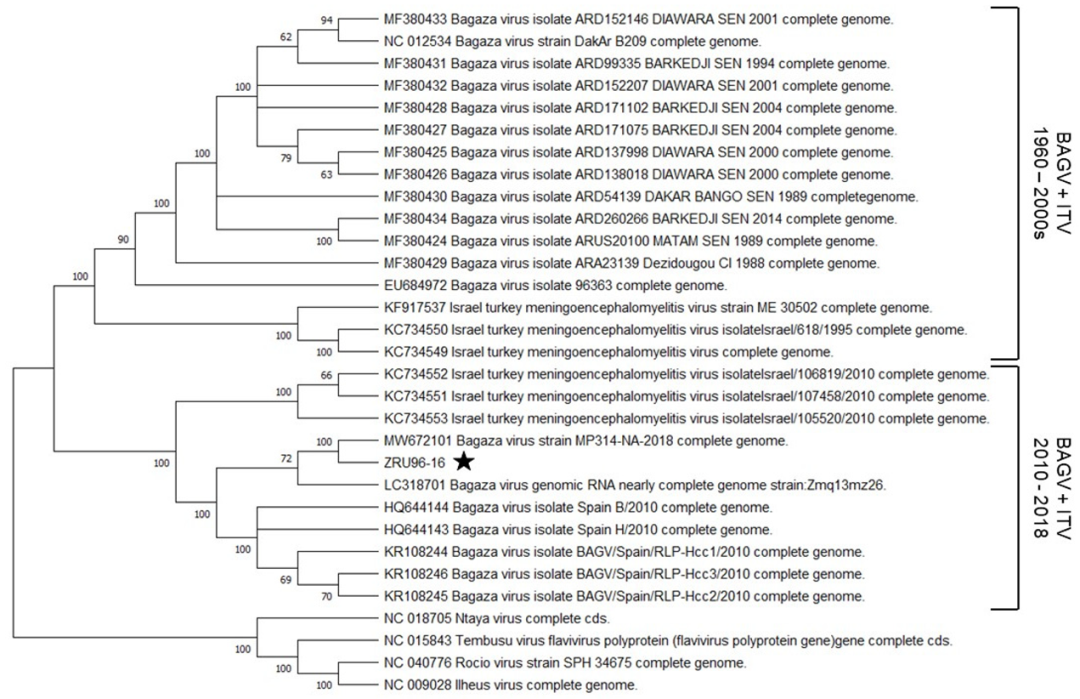 Viruses 14 01476 g003 550