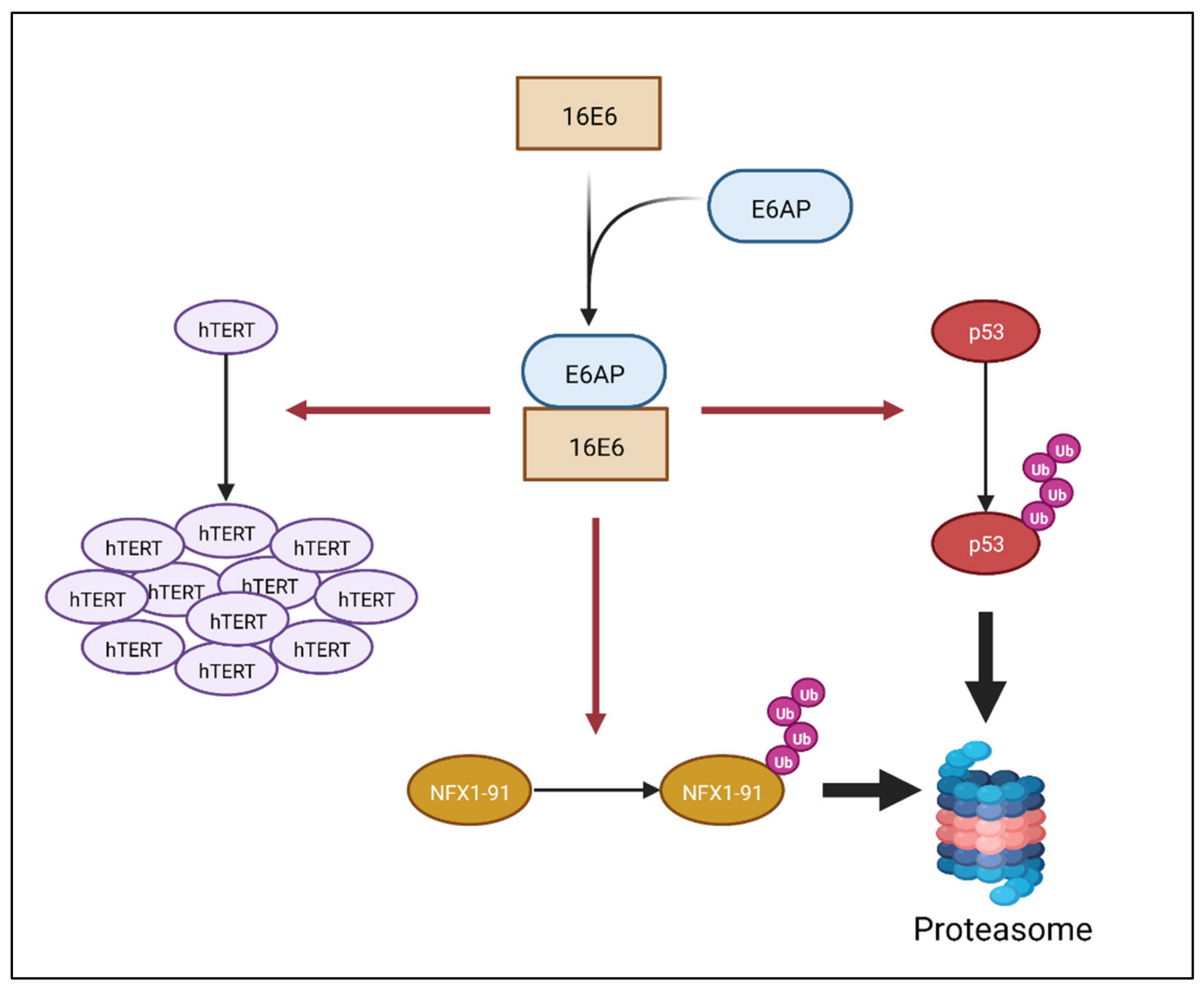 Viruses 14 01483 g001 550
