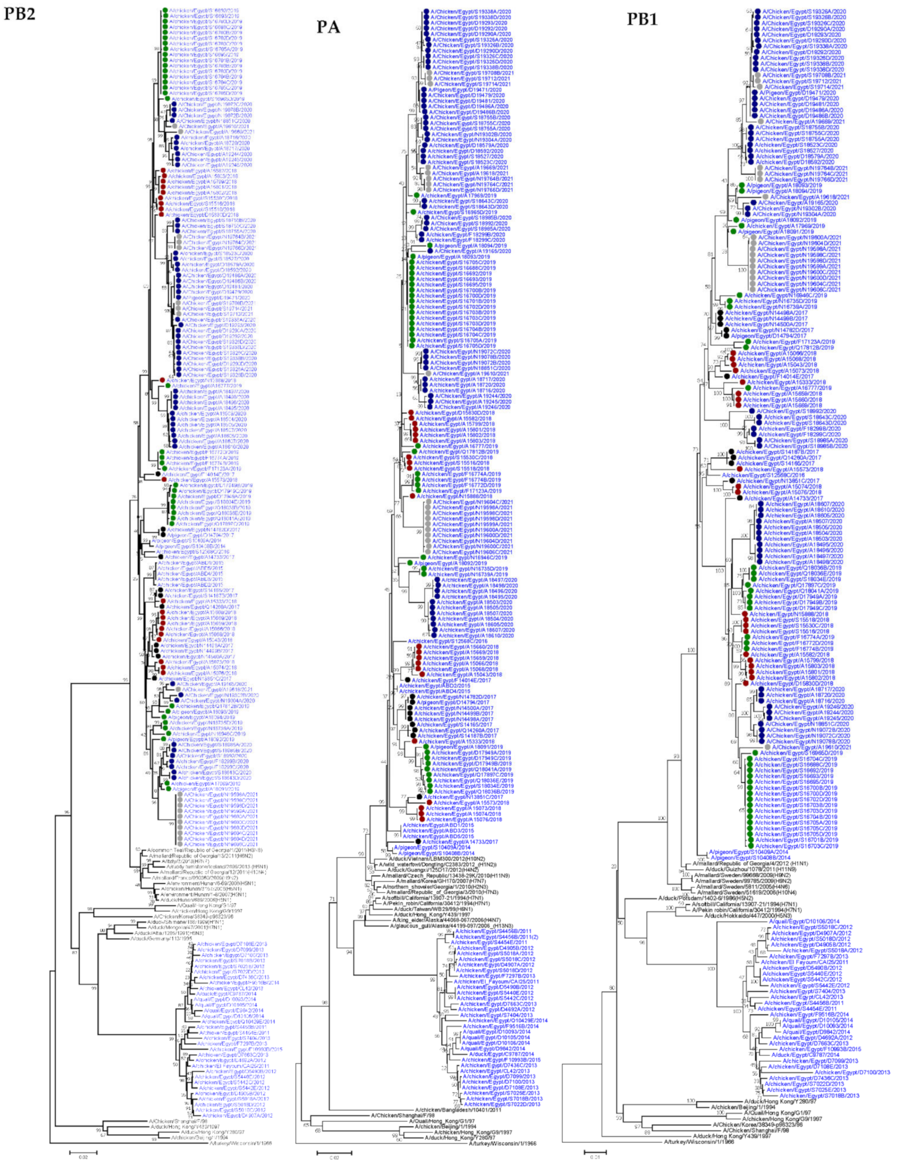 Viruses 14 01484 g001a Viruses 14 01484 g001a