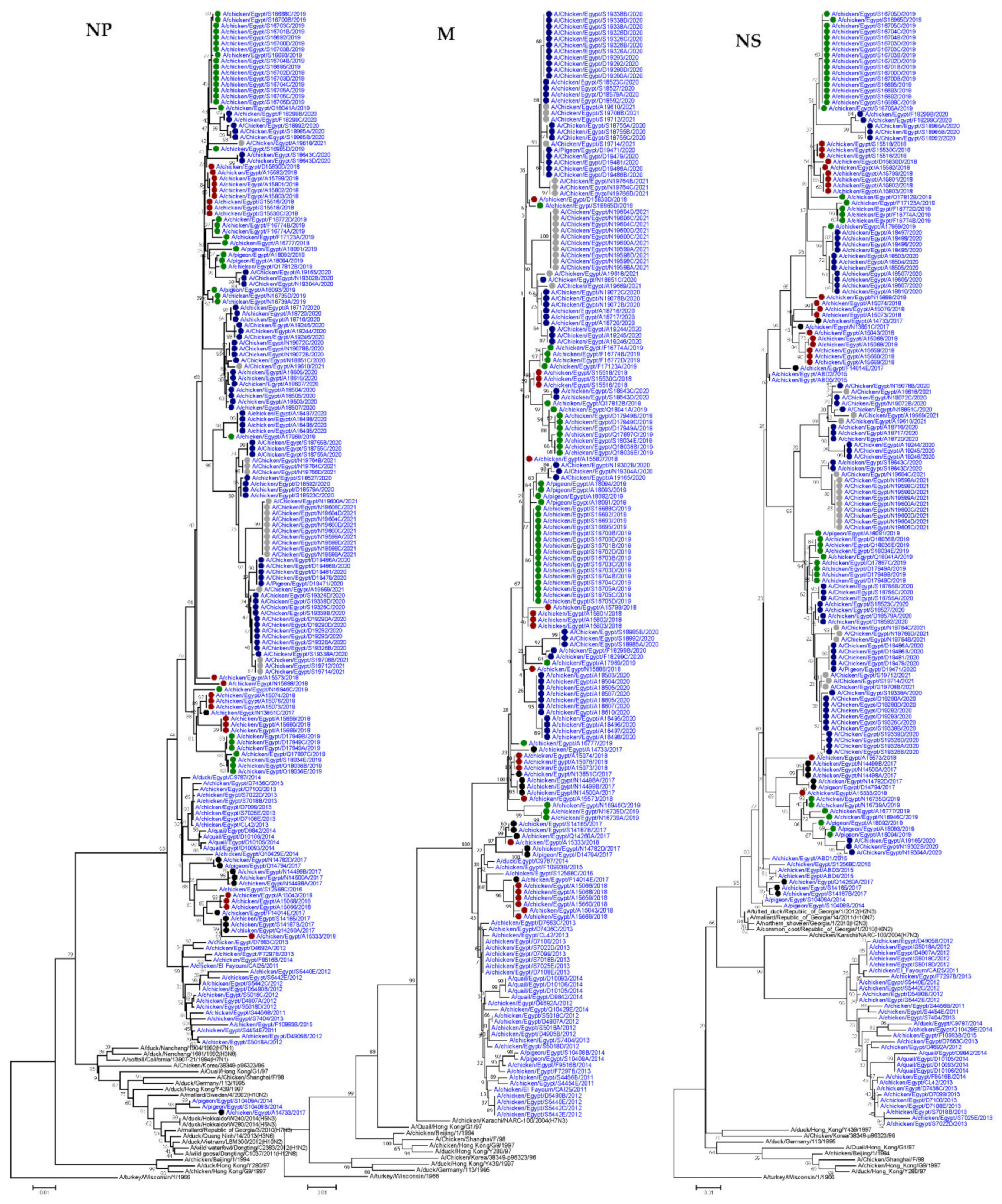 Viruses 14 01484 g001b Viruses 14 01484 g001b