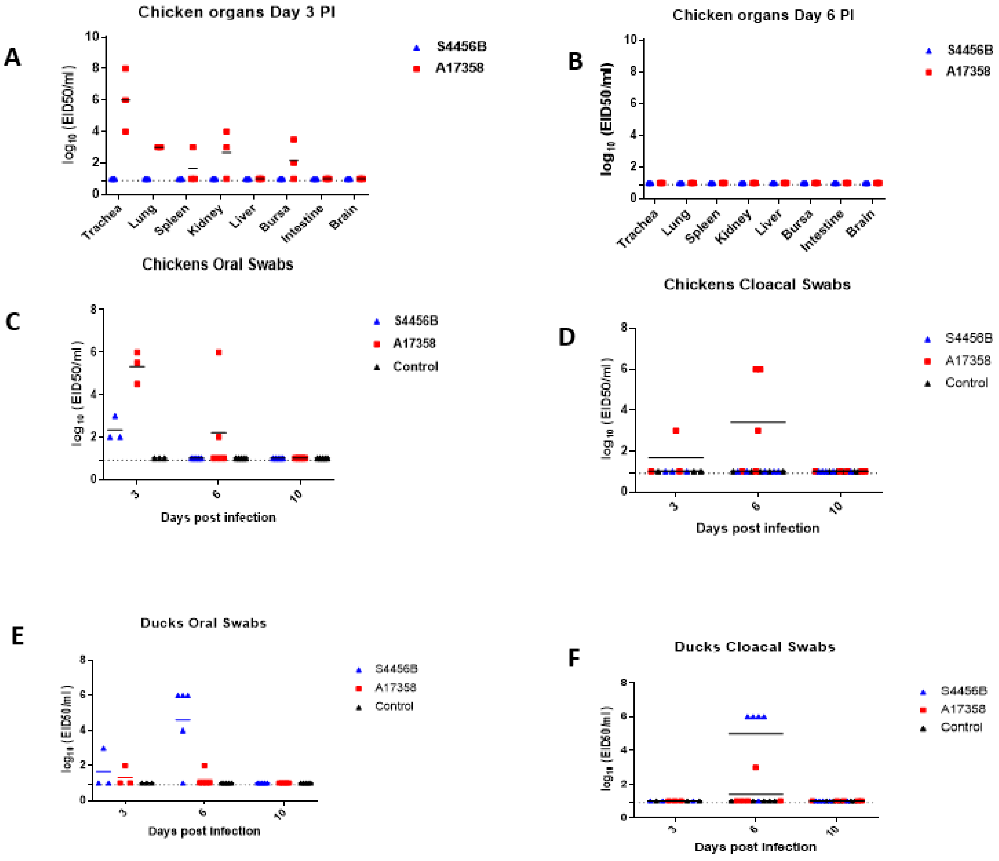 Viruses 14 01484 g005 Viruses 14 01484 g005