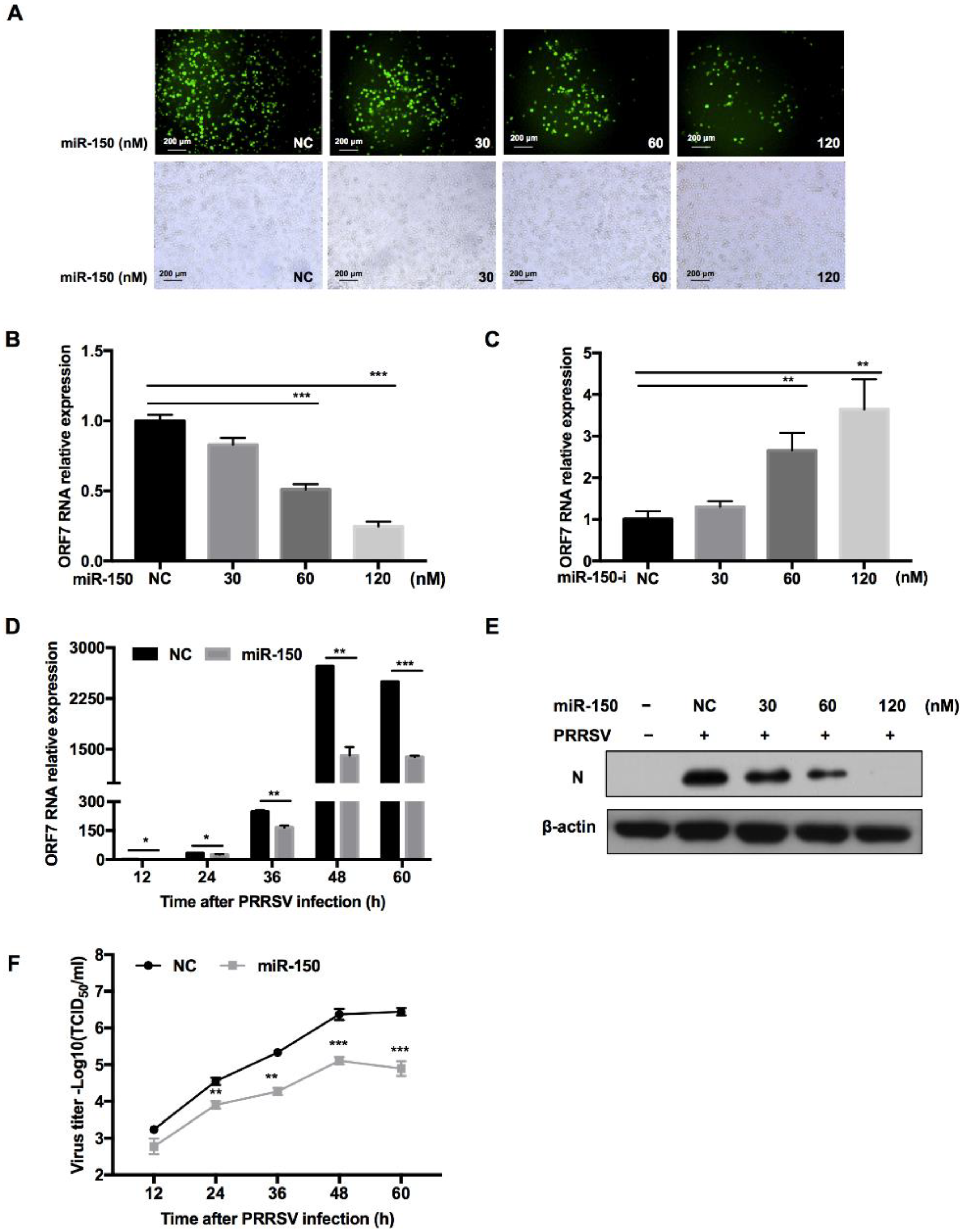 Viruses 14 01485 g004