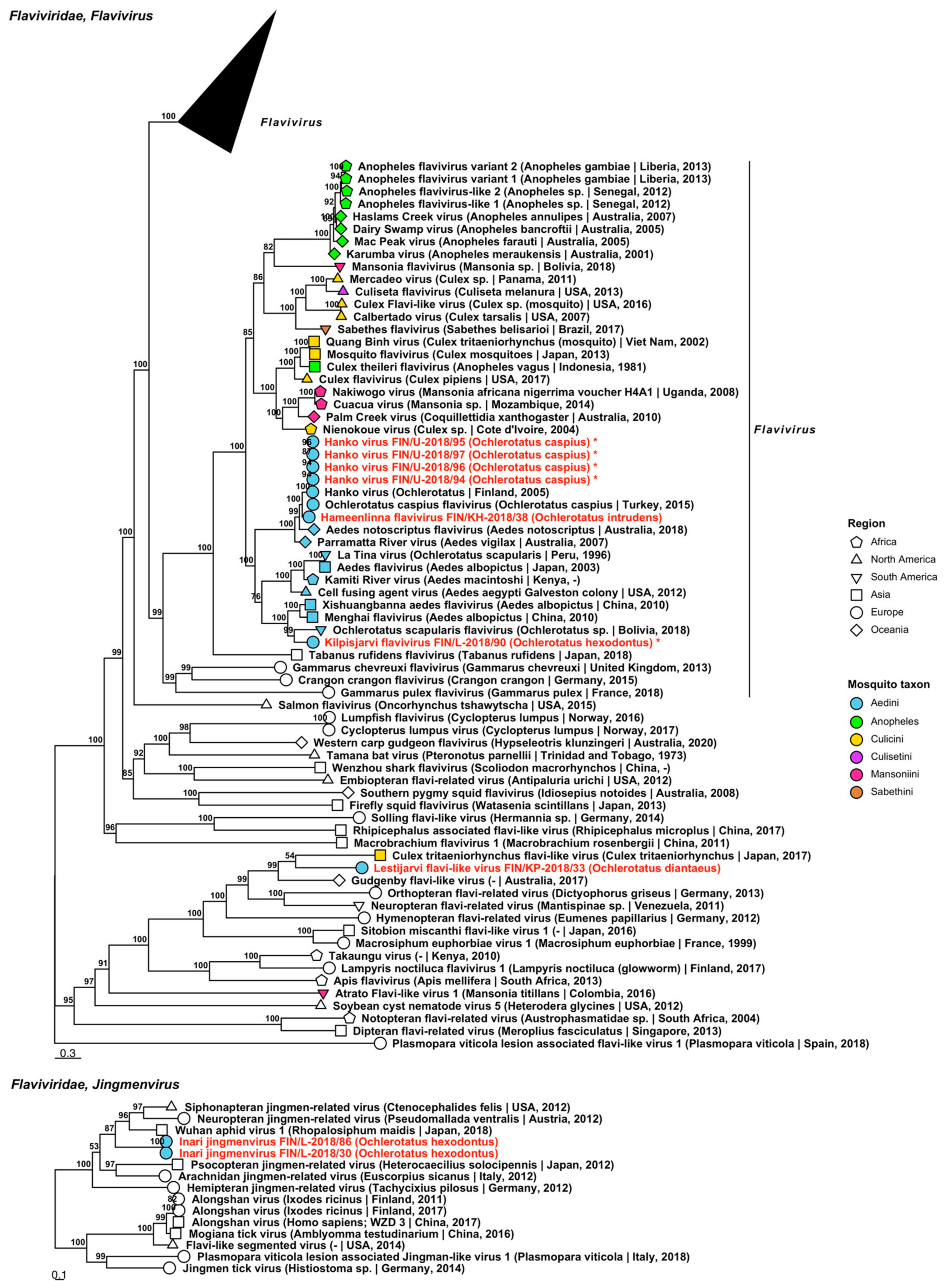 Viruses 14 01489 g003 Viruses 14 01489 g003