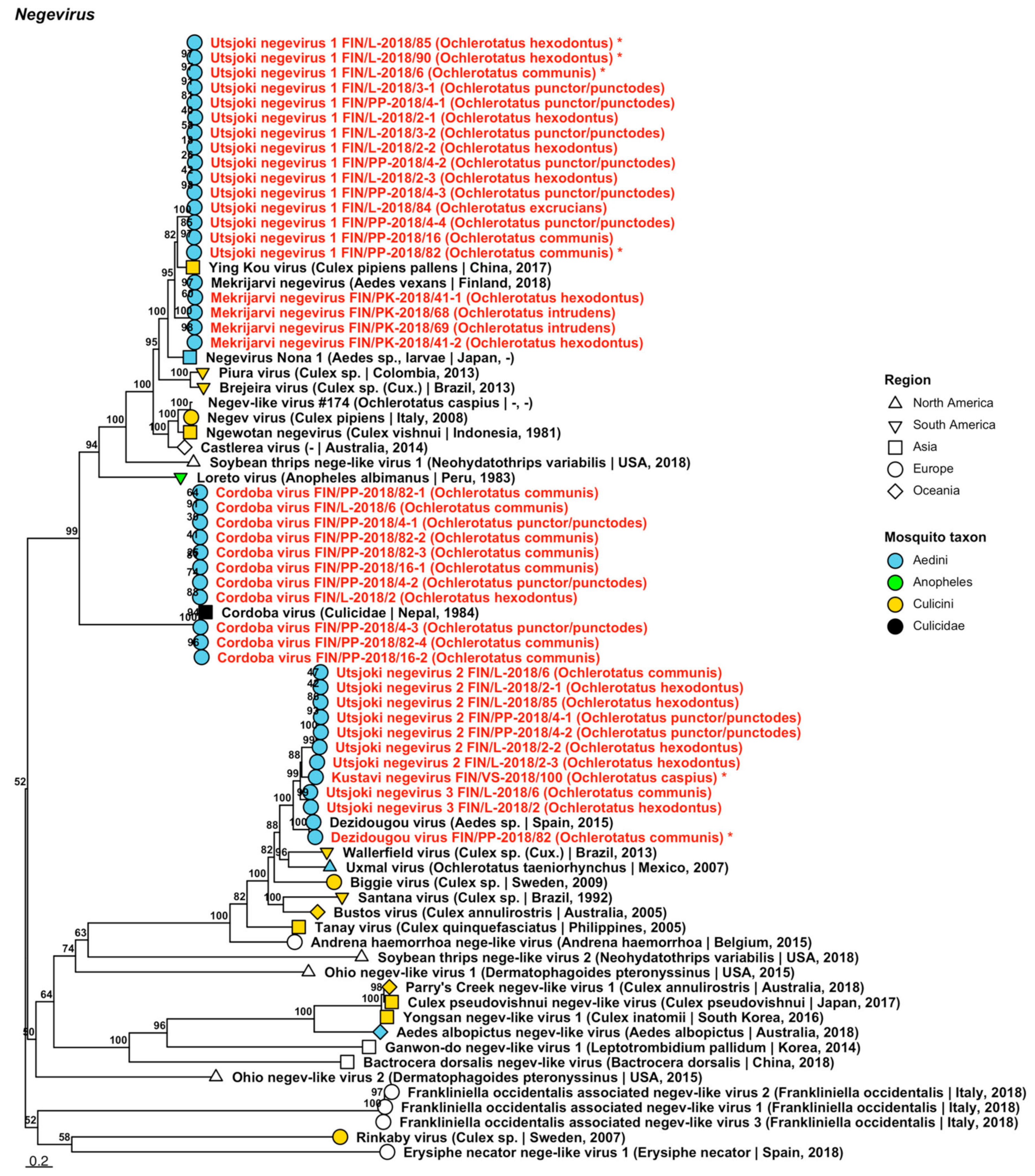 Viruses 14 01489 g005 Viruses 14 01489 g005