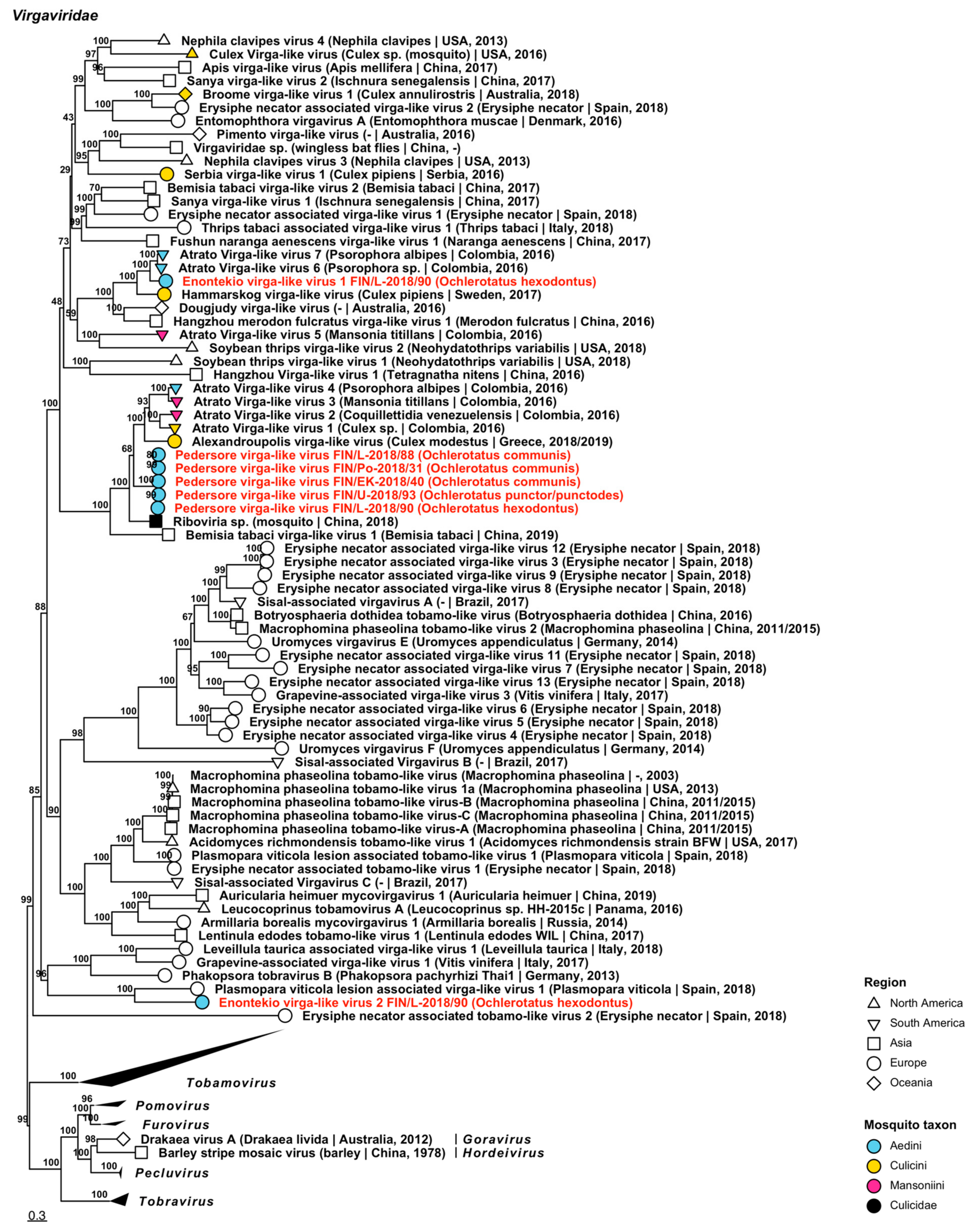 Viruses 14 01489 g009 Viruses 14 01489 g009
