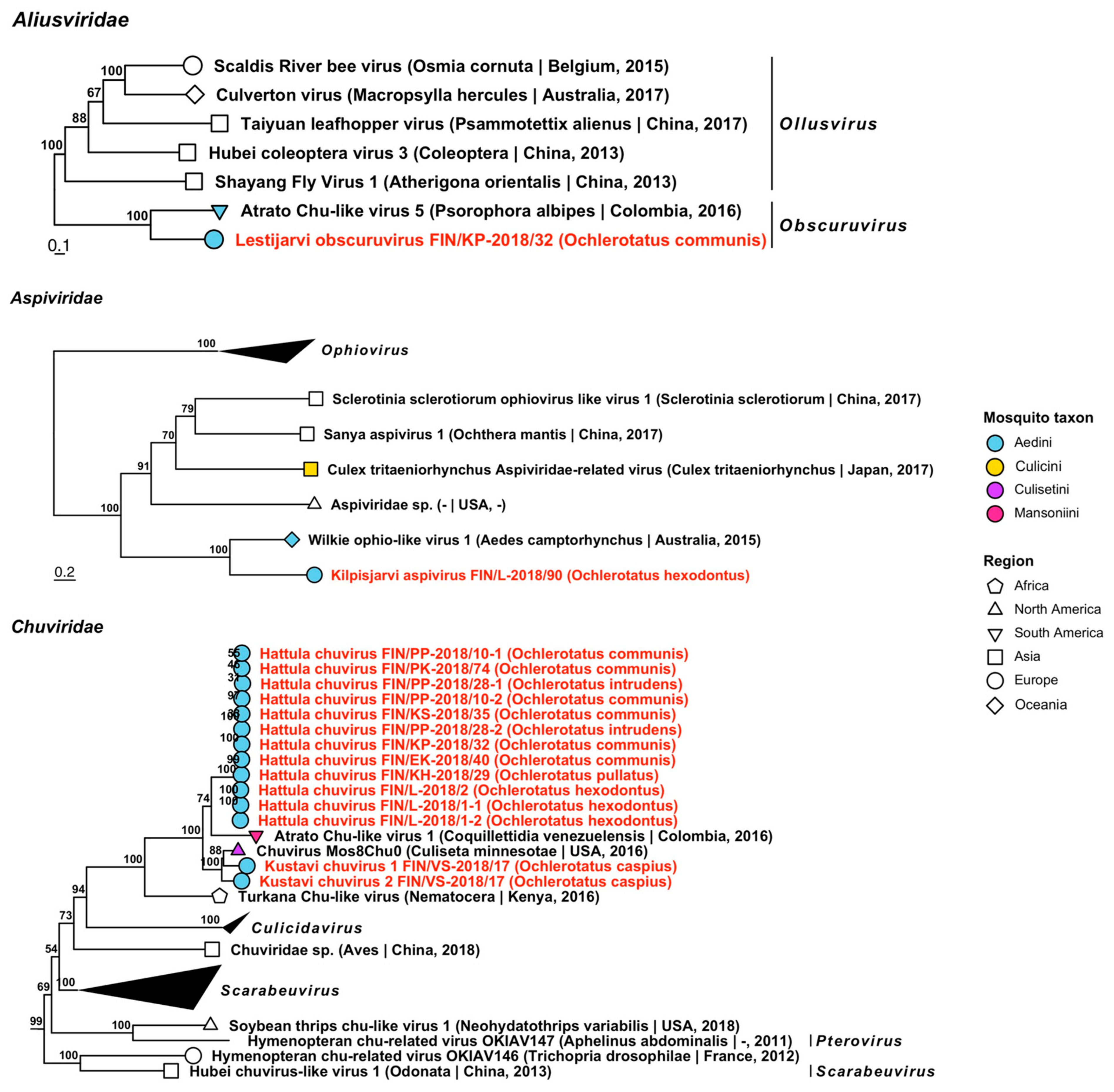 Viruses 14 01489 g010 Viruses 14 01489 g010