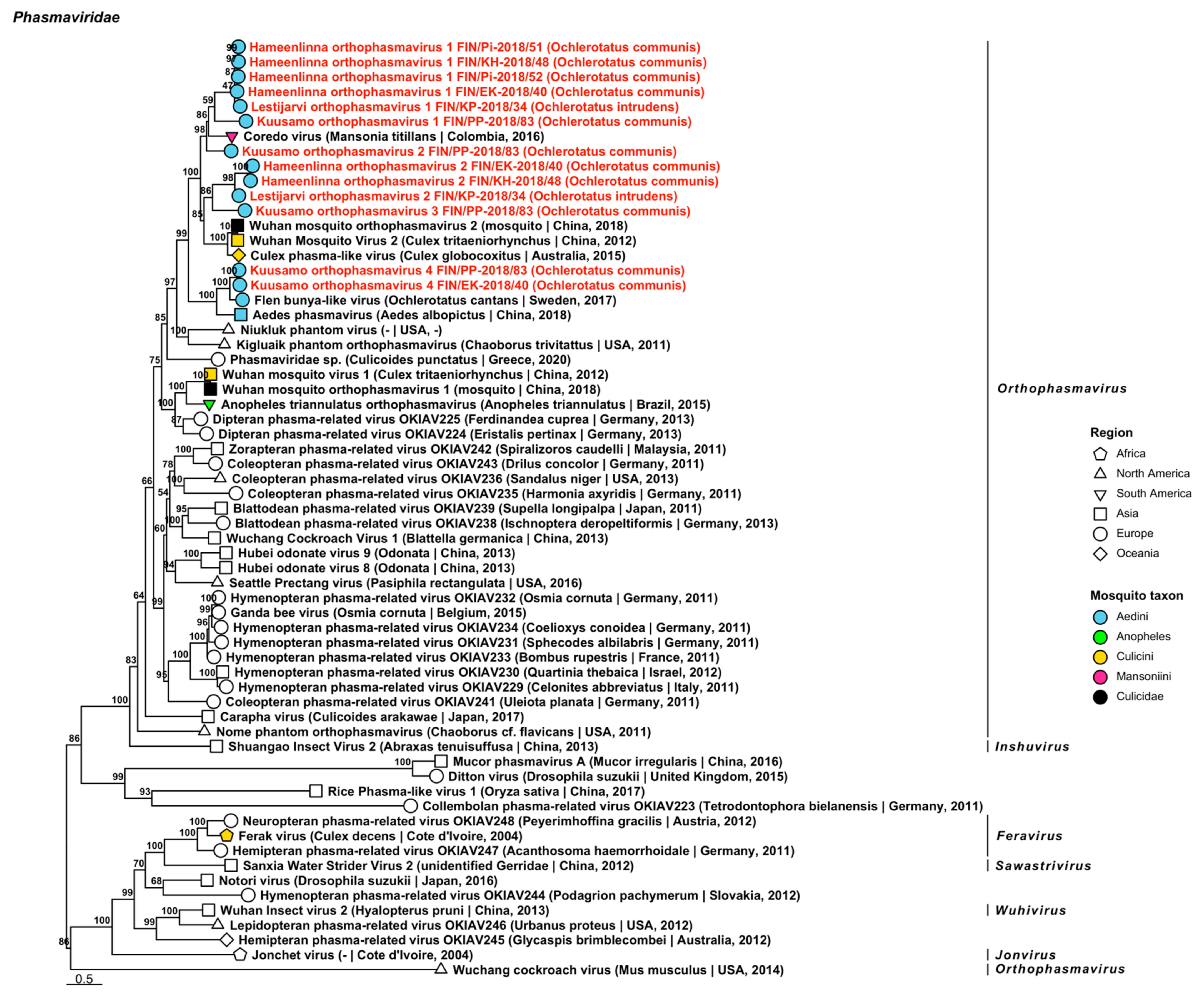 Viruses 14 01489 g011 Viruses 14 01489 g011
