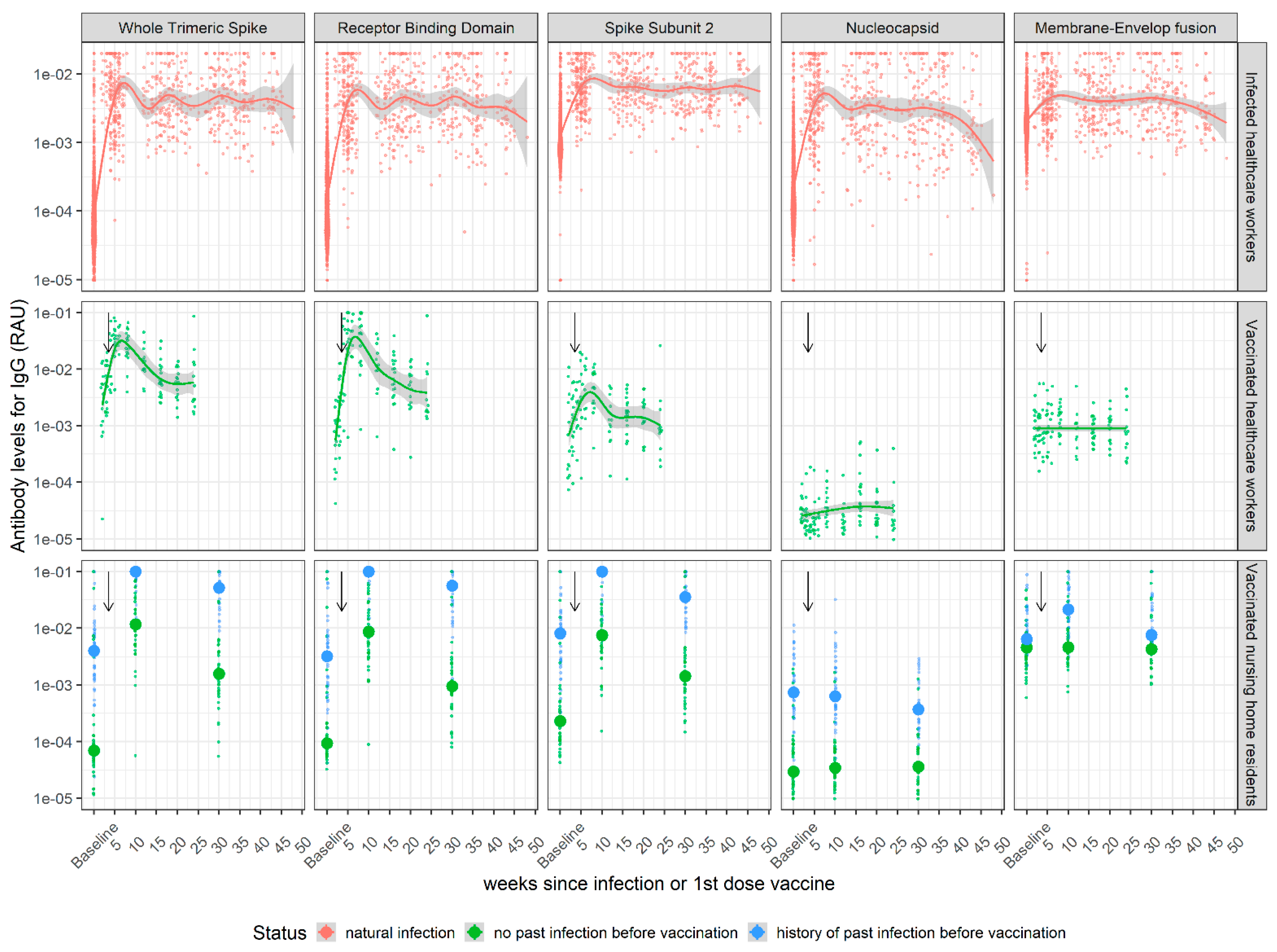 Viruses 14 01491 g001