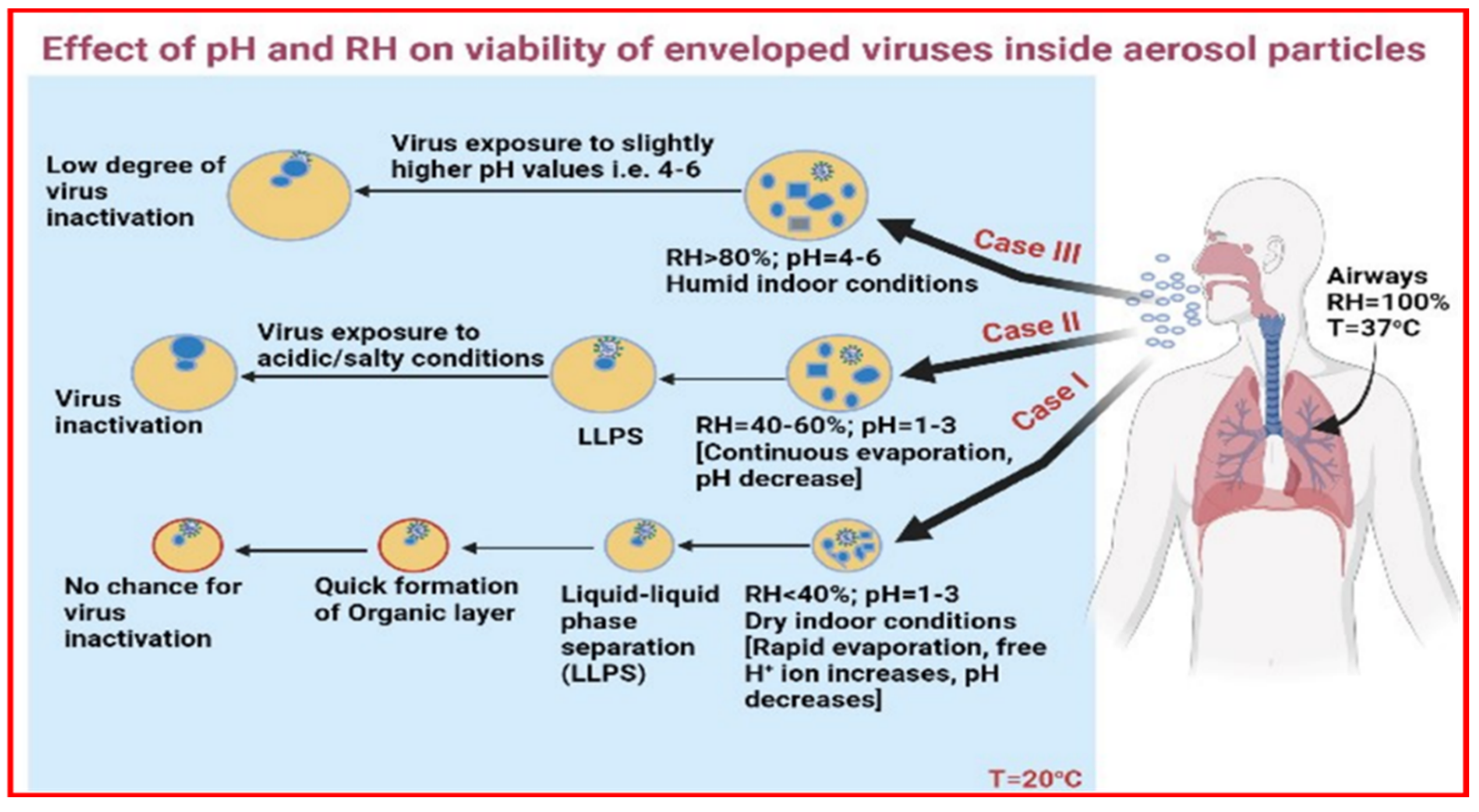 Viruses 14 01497 g002 550