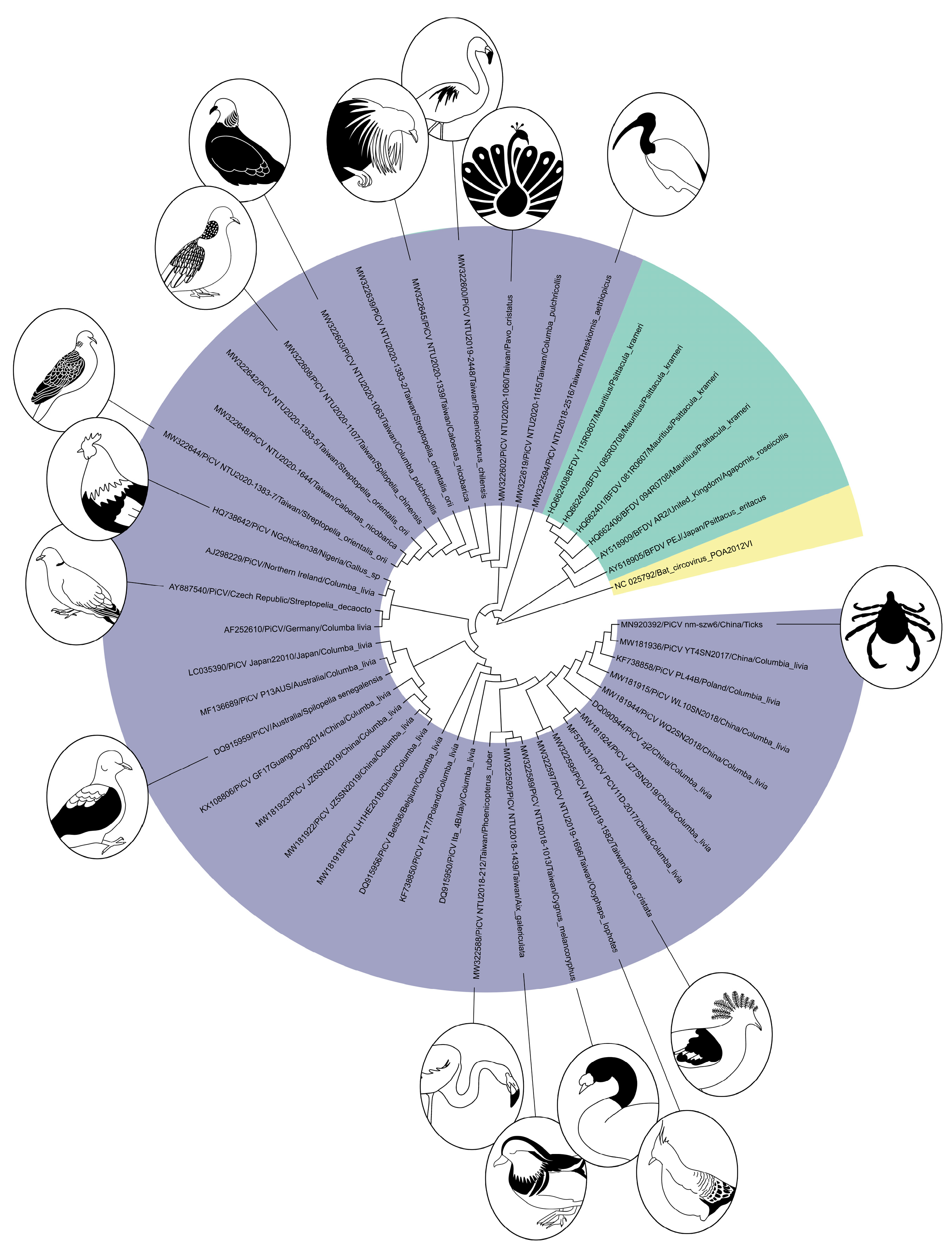 Viruses 14 01498 g006 Viruses 14 01498 g006
