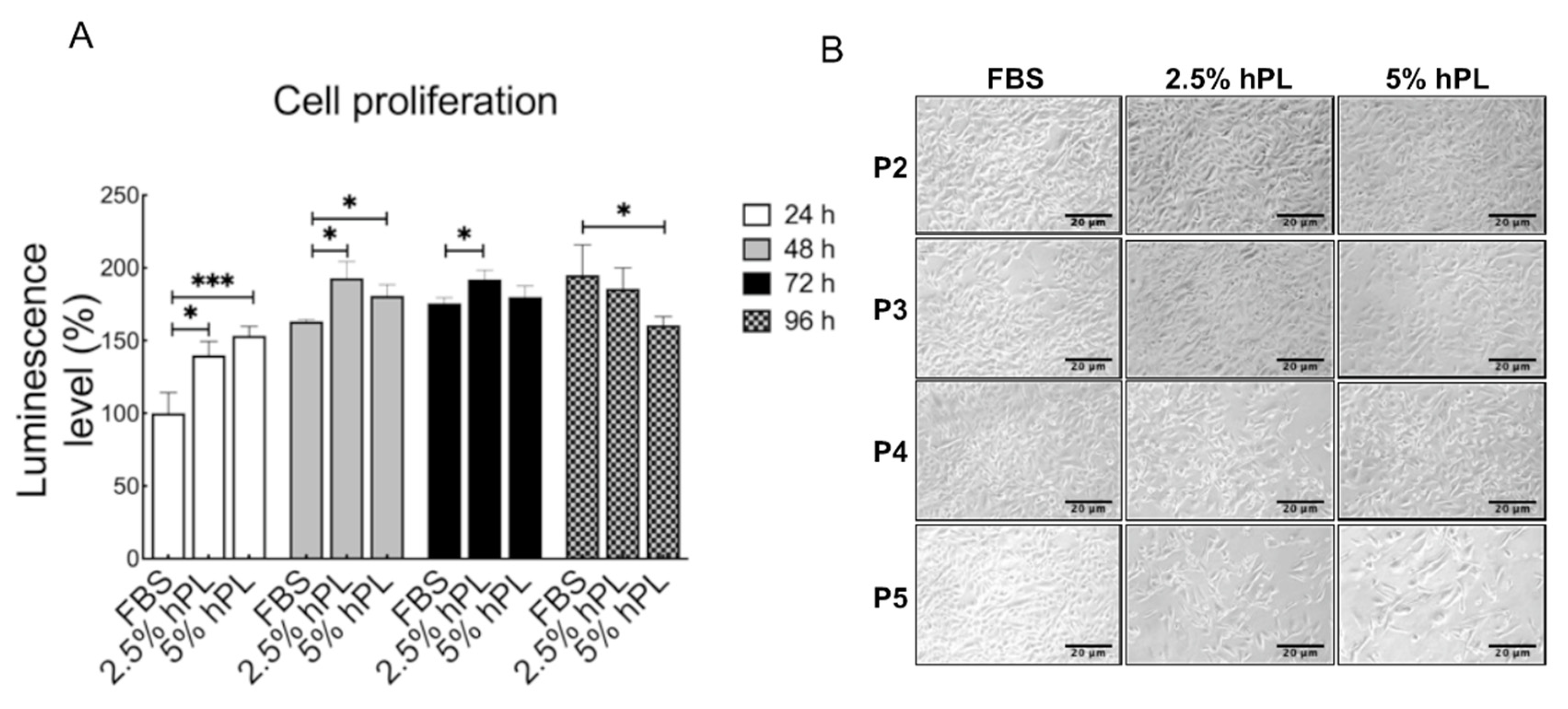 Viruses 14 01499 g001