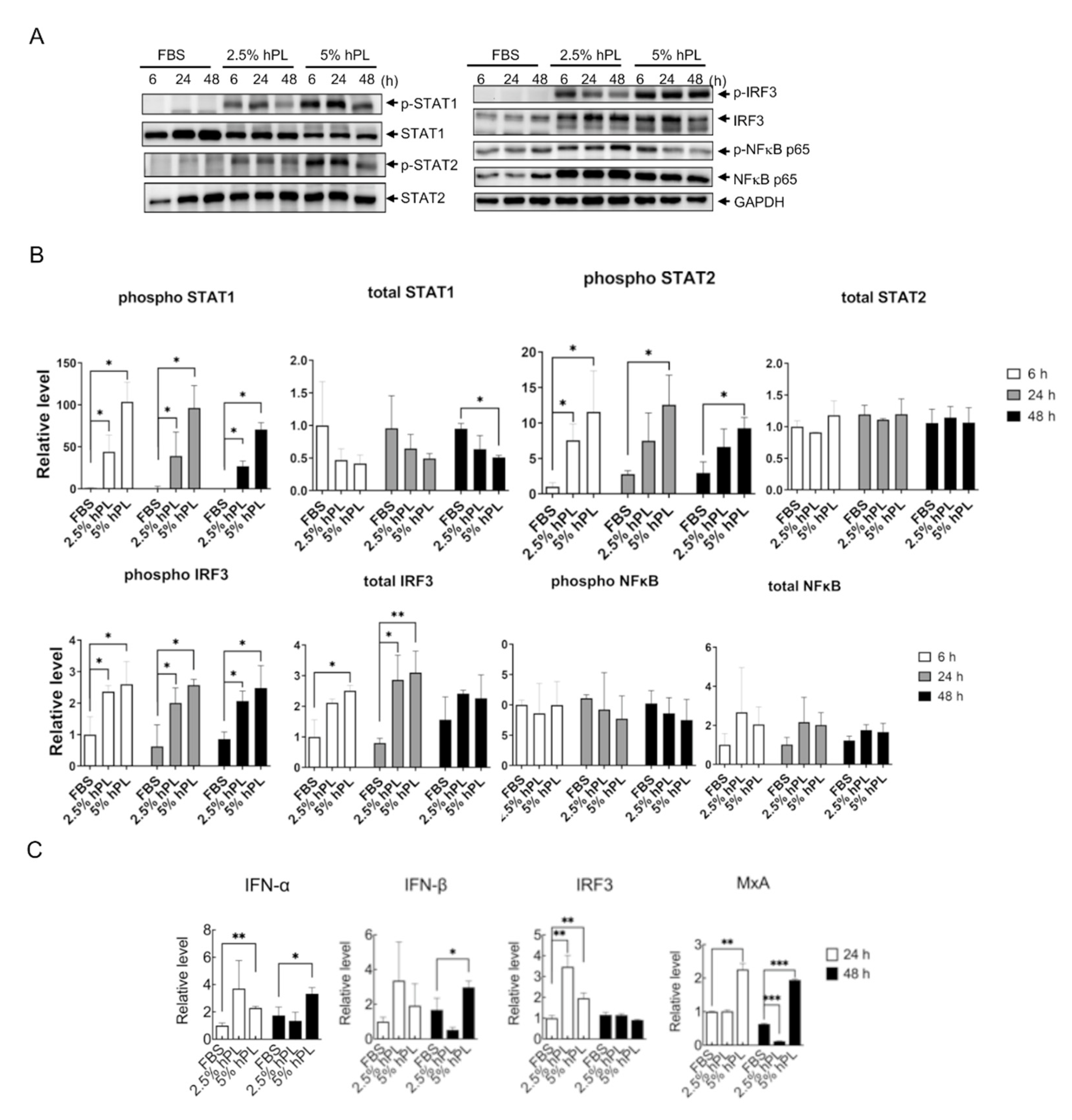 Viruses 14 01499 g003