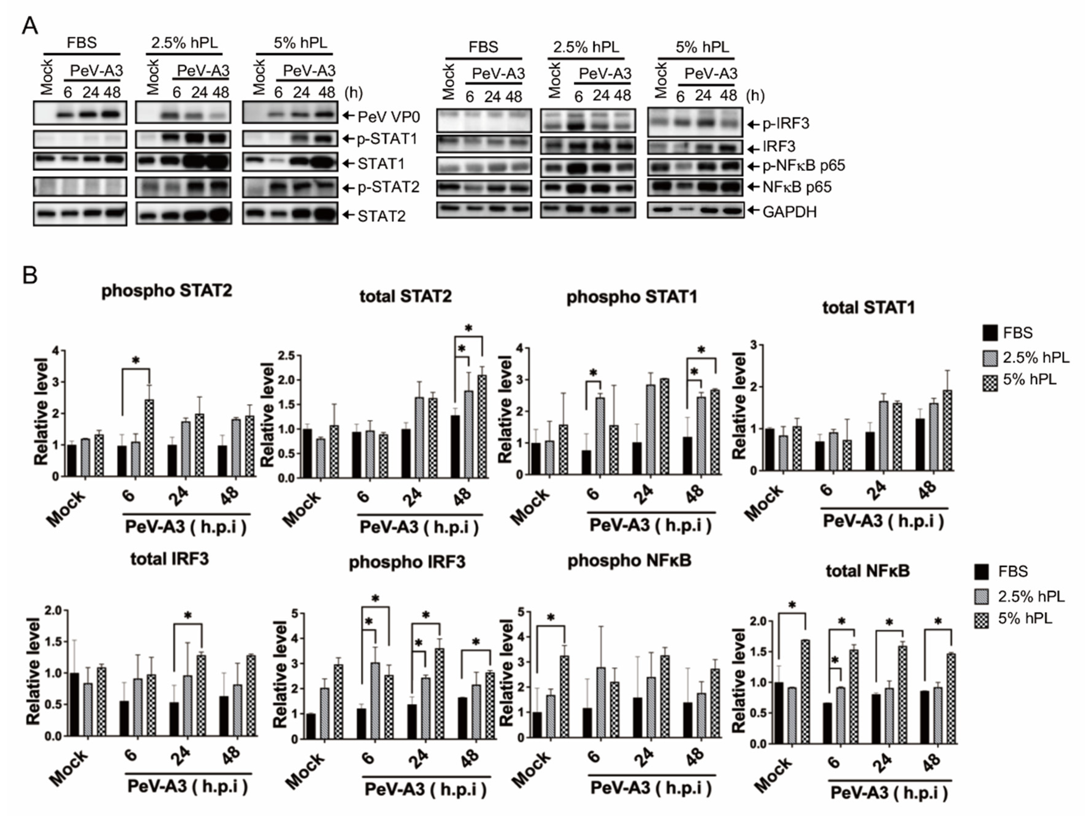 Viruses 14 01499 g004