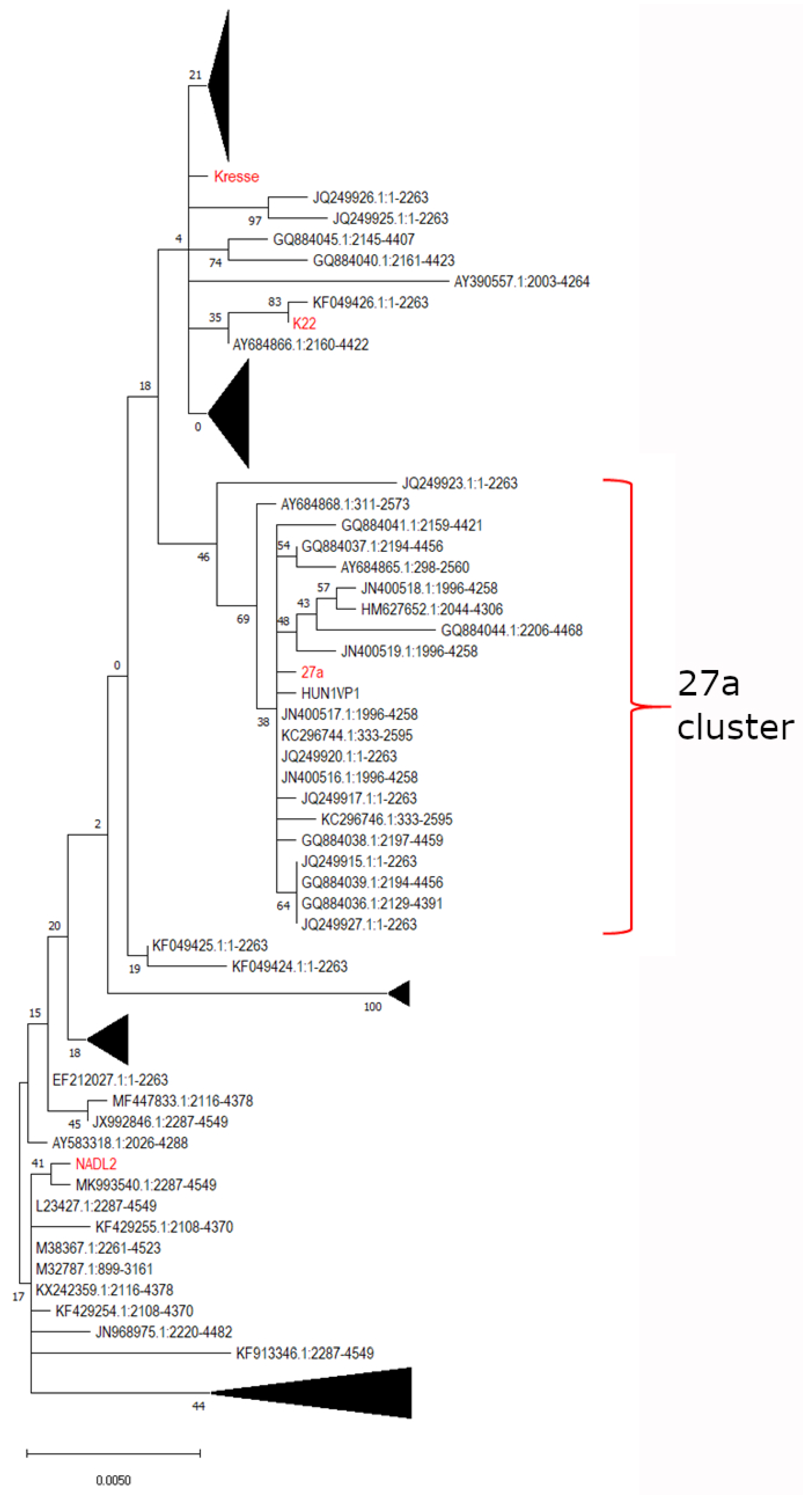Viruses 14 01500 g001