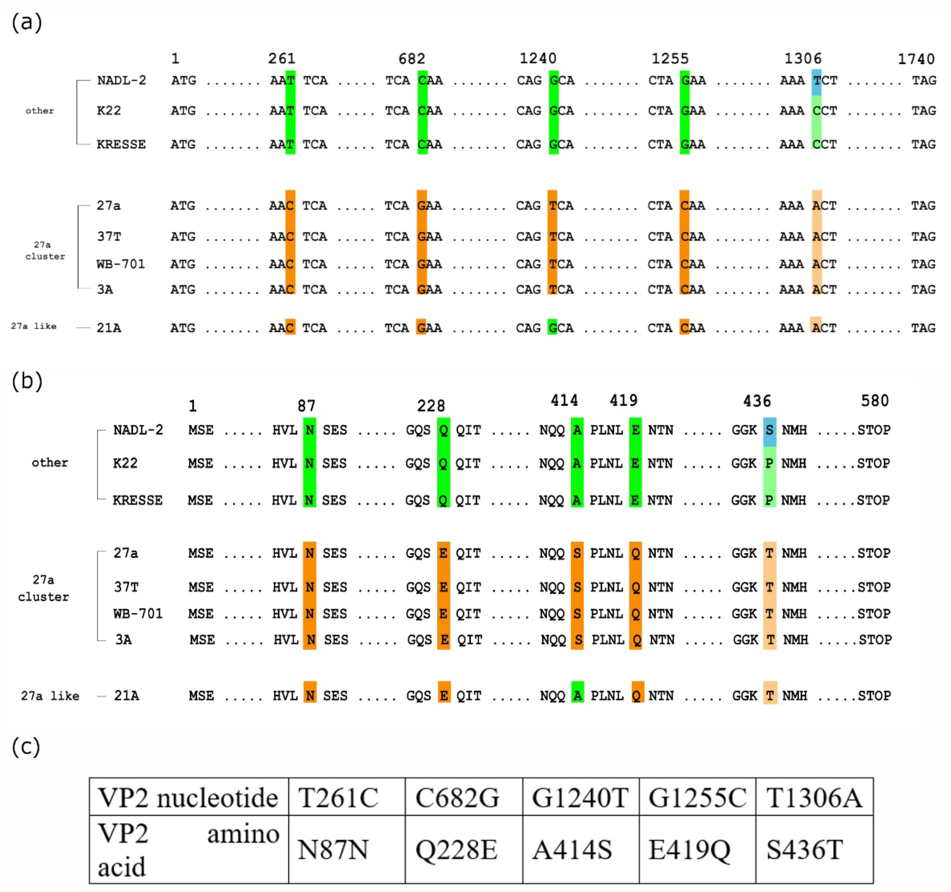 Viruses 14 01500 g002
