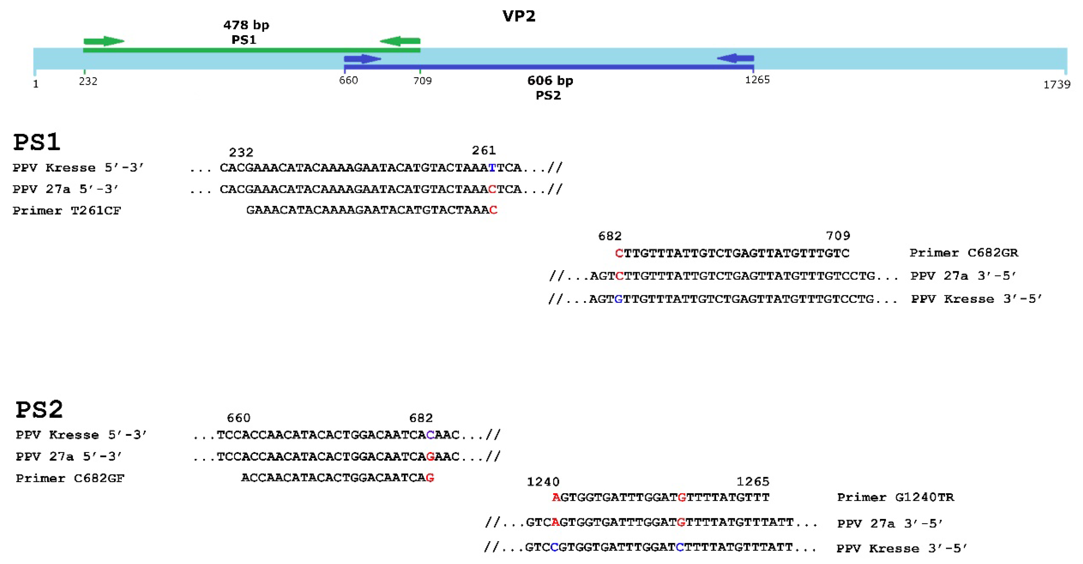 Viruses 14 01500 g003