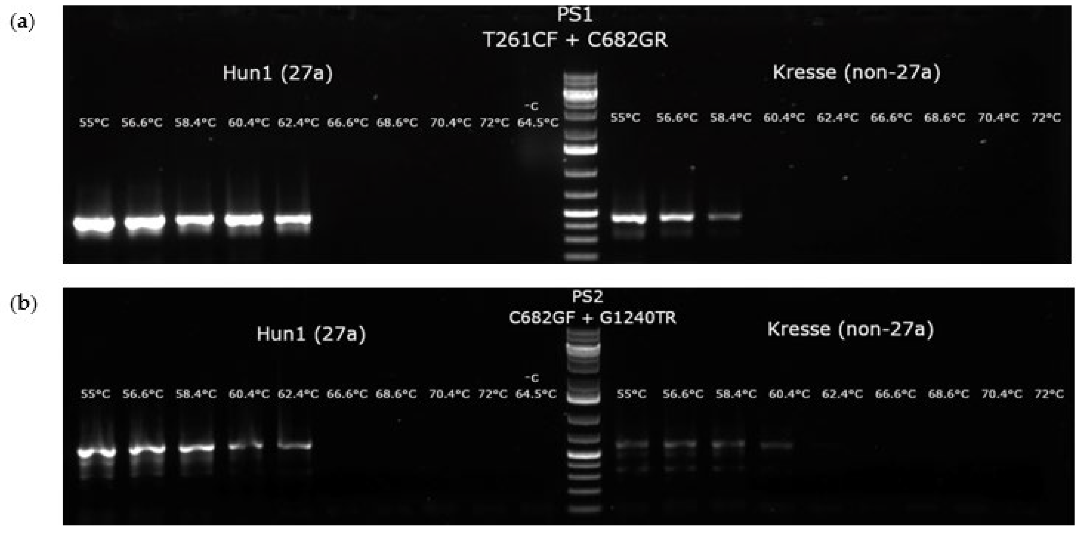 Viruses 14 01500 g004
