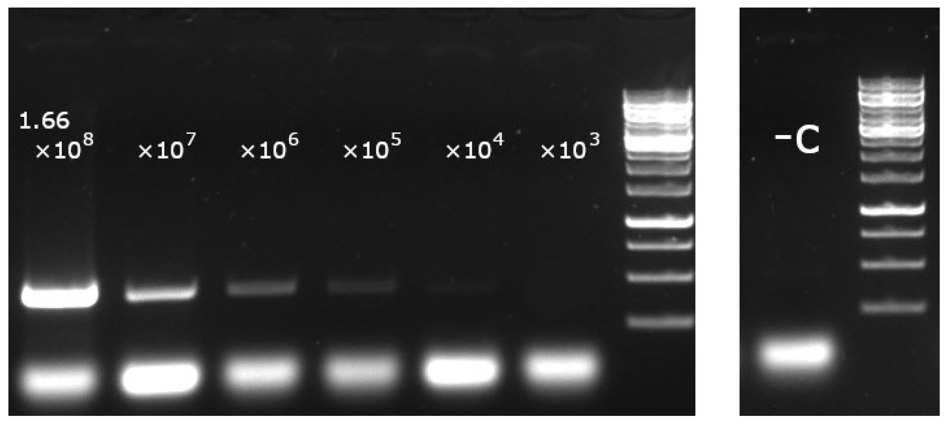 Viruses 14 01500 g006