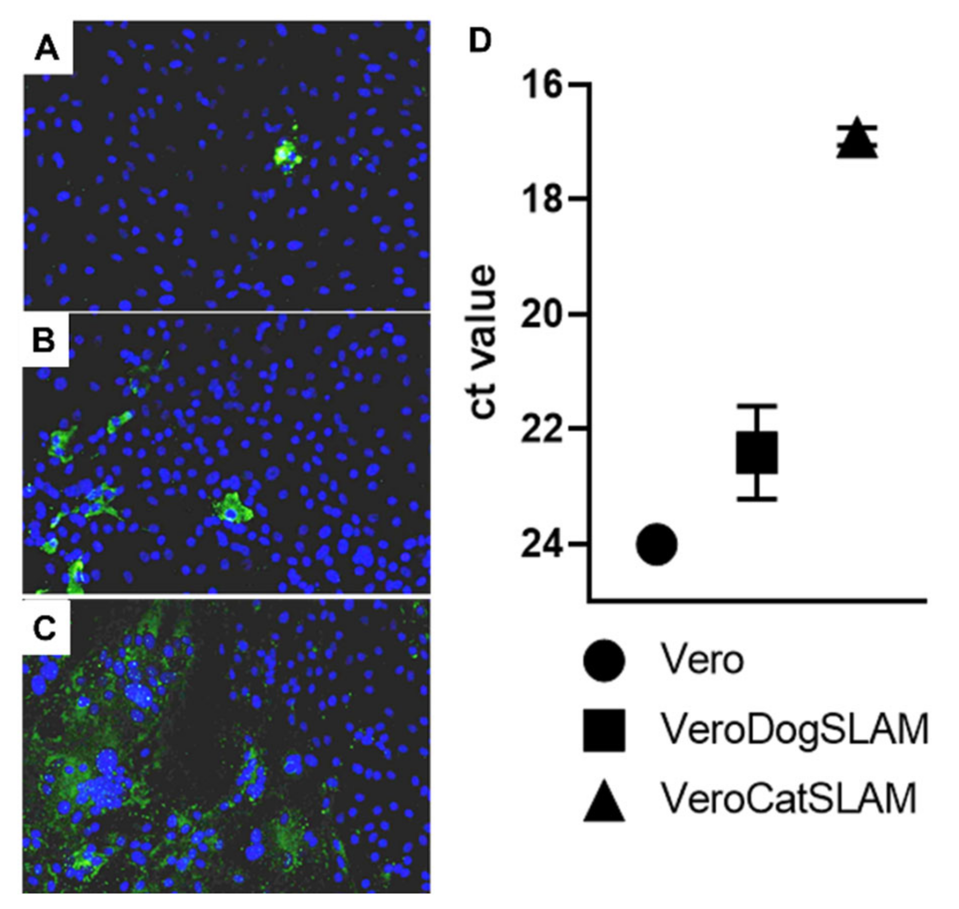 Viruses 14 01503 g002 550